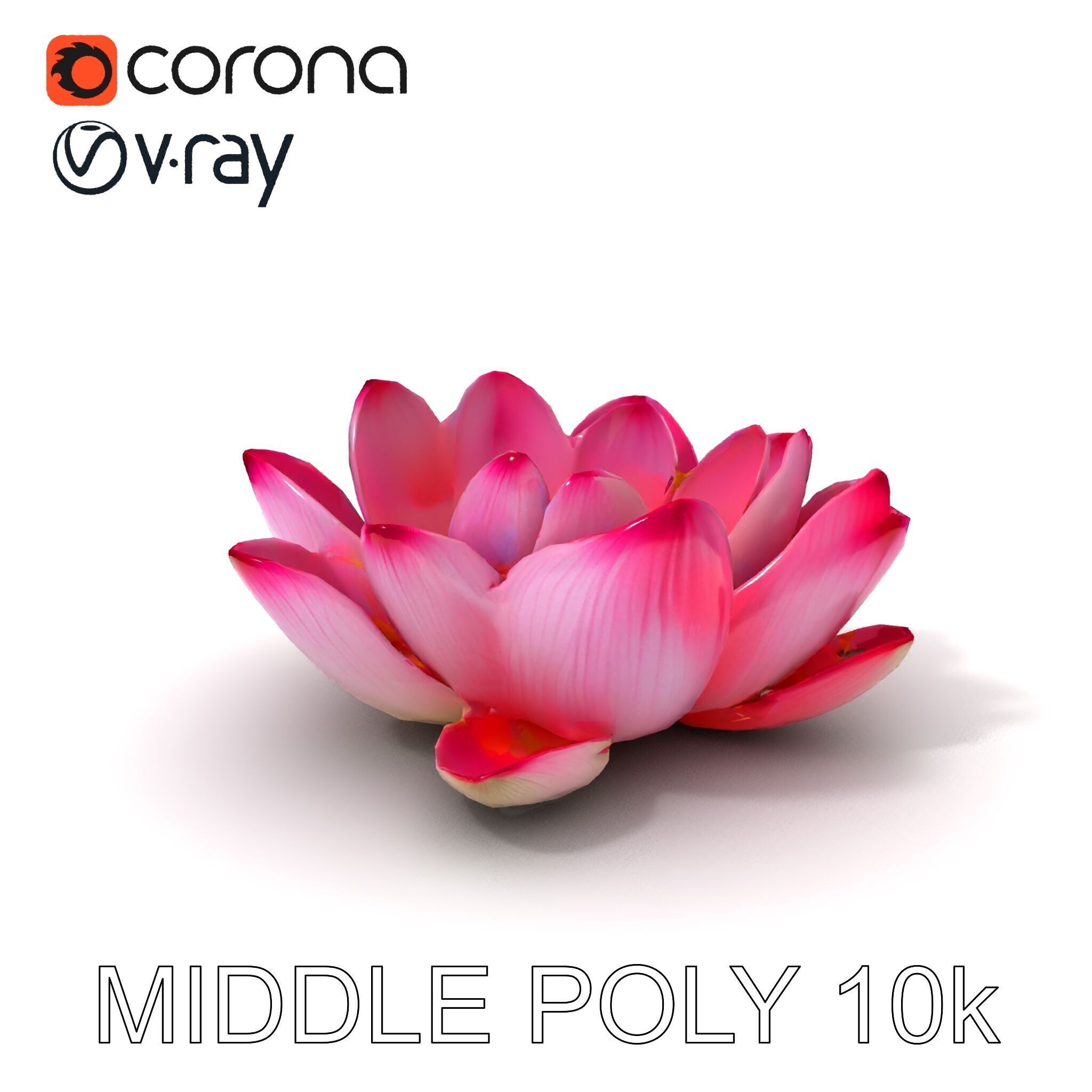 Lotus Flower Model Pack  Detailed Botanical Collection Low-poly 3D model_22