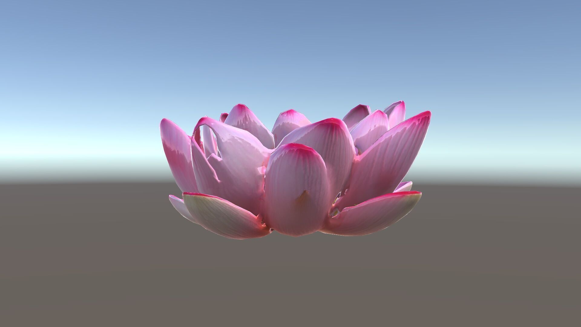Lotus Flower Model Pack  Detailed Botanical Collection Low-poly 3D model_16