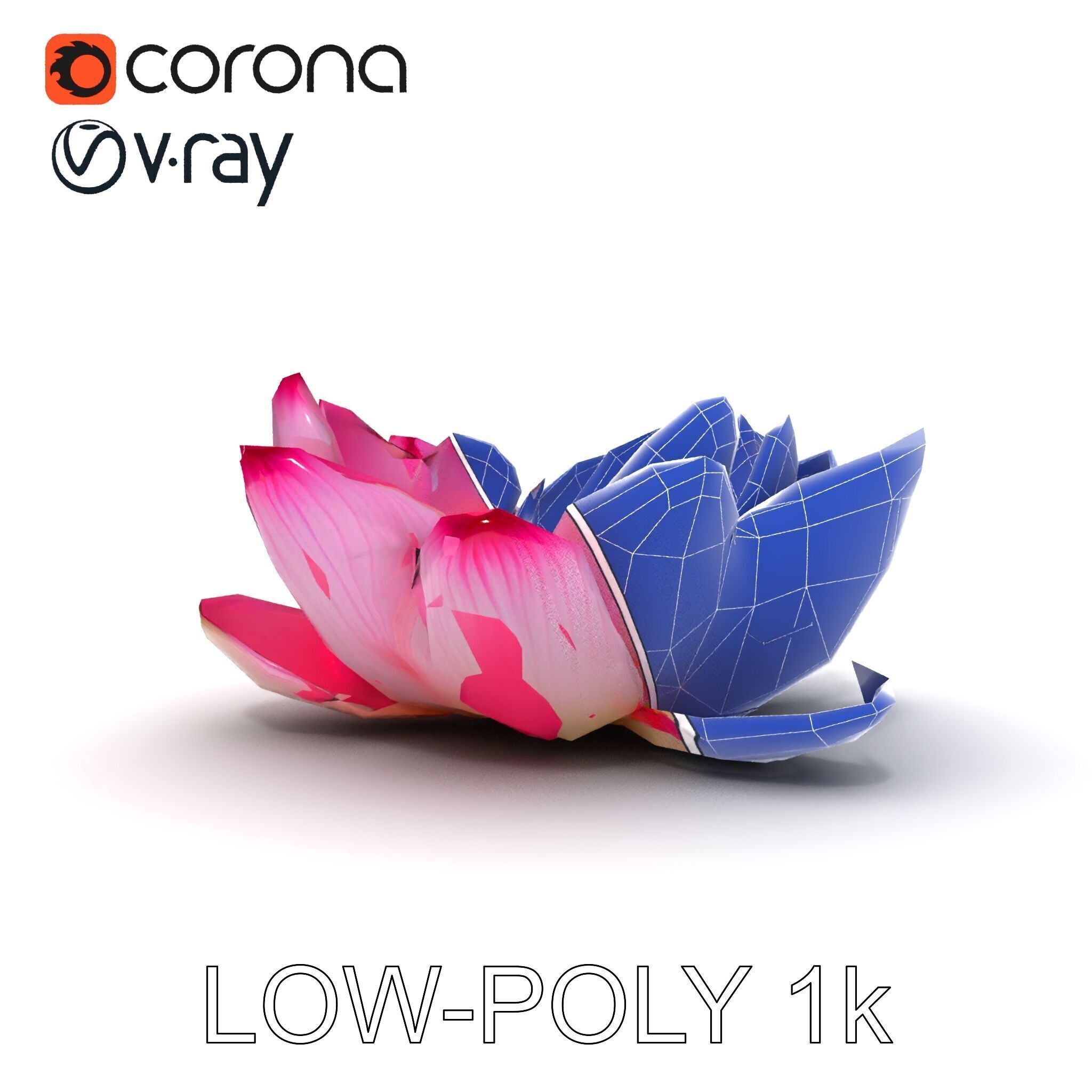 Lotus Flower Model Pack  Detailed Botanical Collection Low-poly 3D model_17