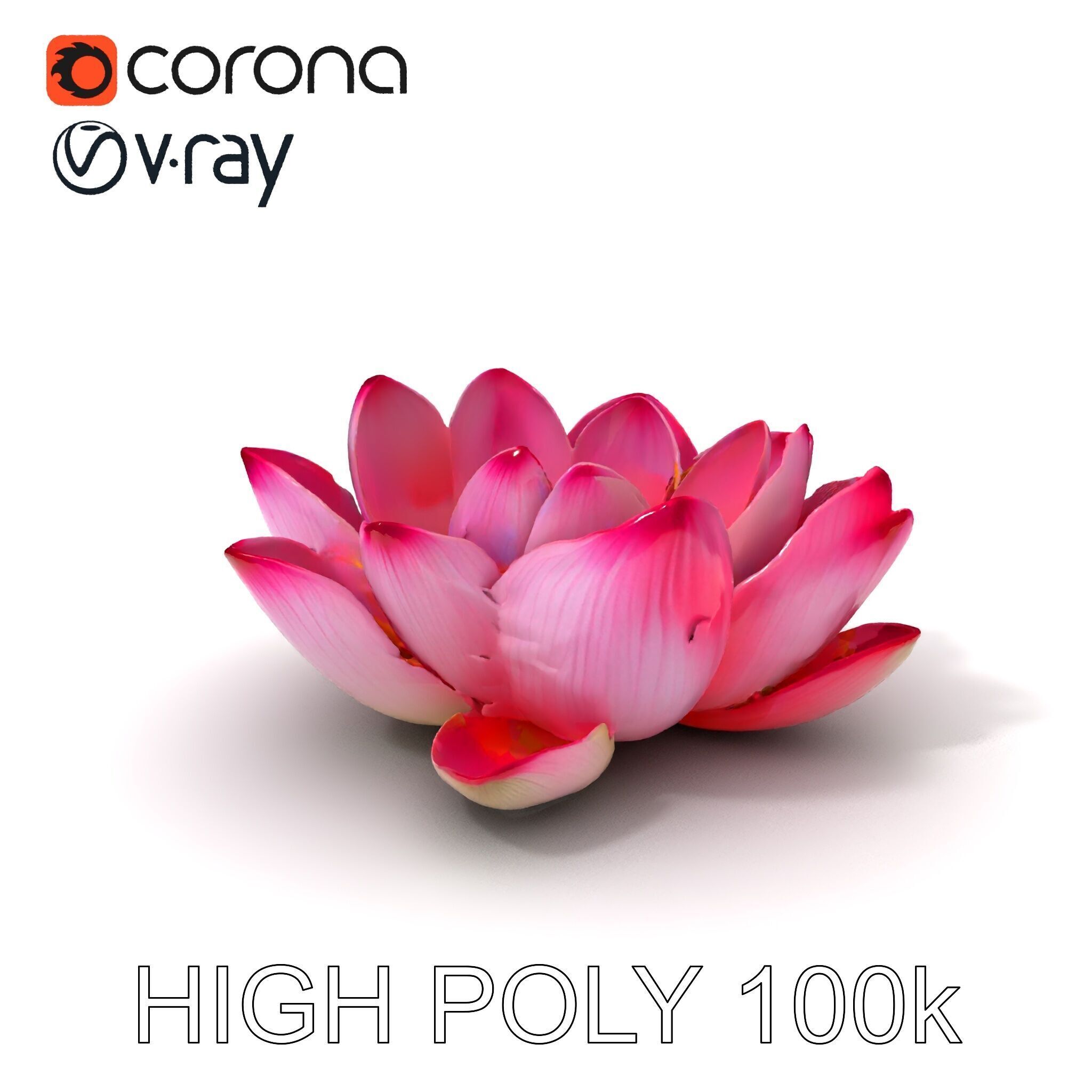Lotus Flower Model Pack  Detailed Botanical Collection Low-poly 3D model_3