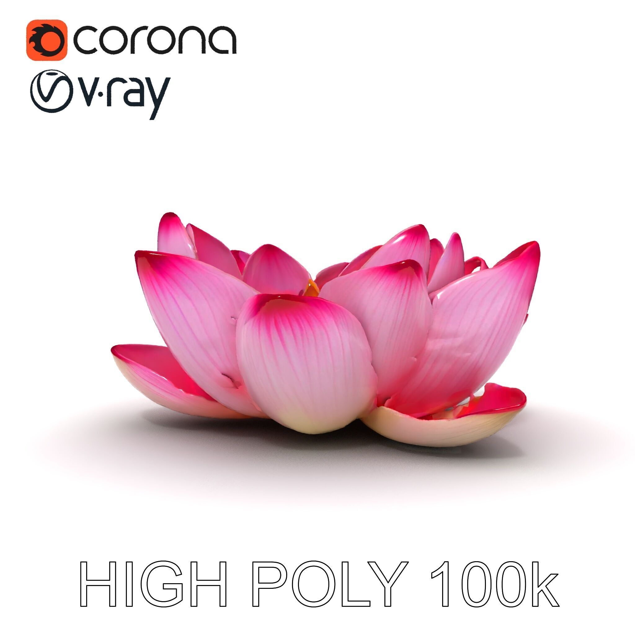 Lotus Flower Model Pack  Detailed Botanical Collection Low-poly 3D model_26