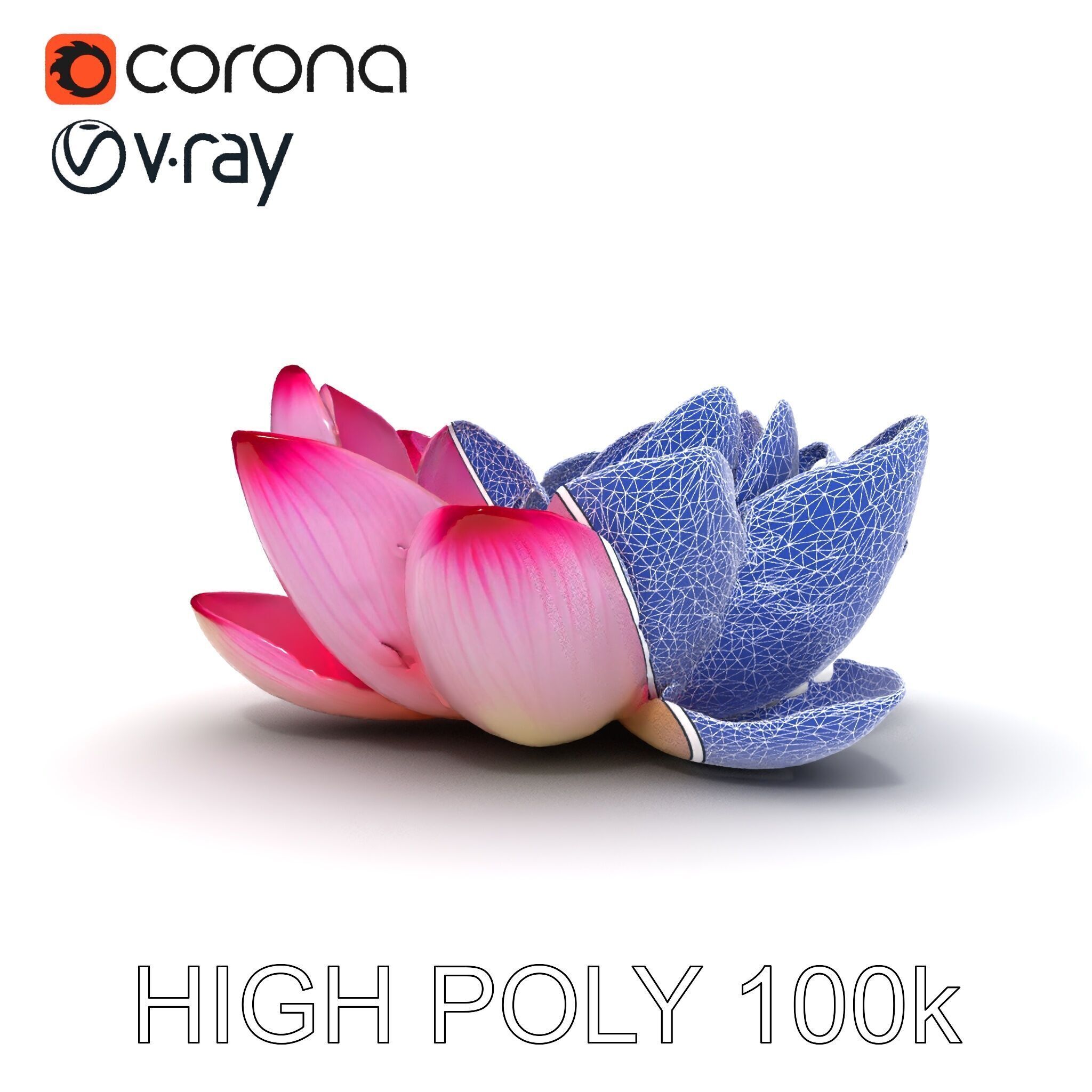 Lotus Flower Model Pack  Detailed Botanical Collection Low-poly 3D model_18