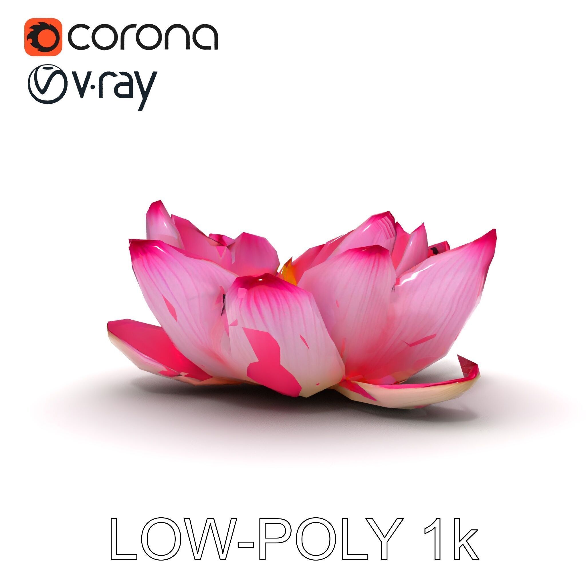 Lotus Flower Model Pack  Detailed Botanical Collection Low-poly 3D model_31