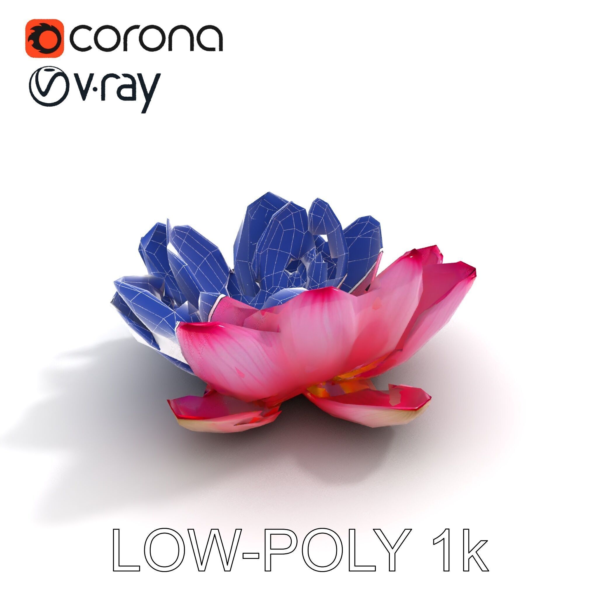 Lotus Flower Model Pack  Detailed Botanical Collection Low-poly 3D model_28