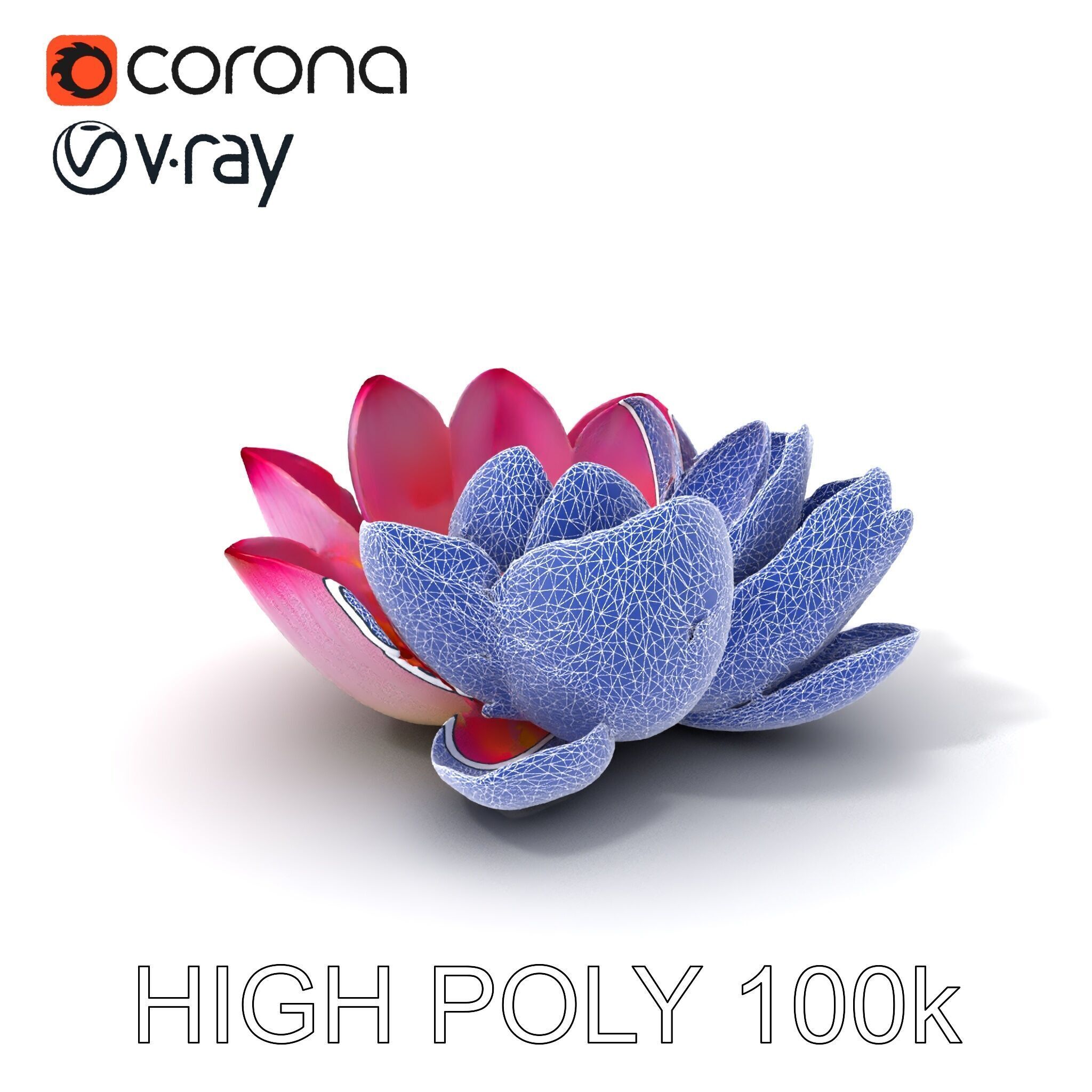 Lotus Flower Model Pack  Detailed Botanical Collection Low-poly 3D model_4