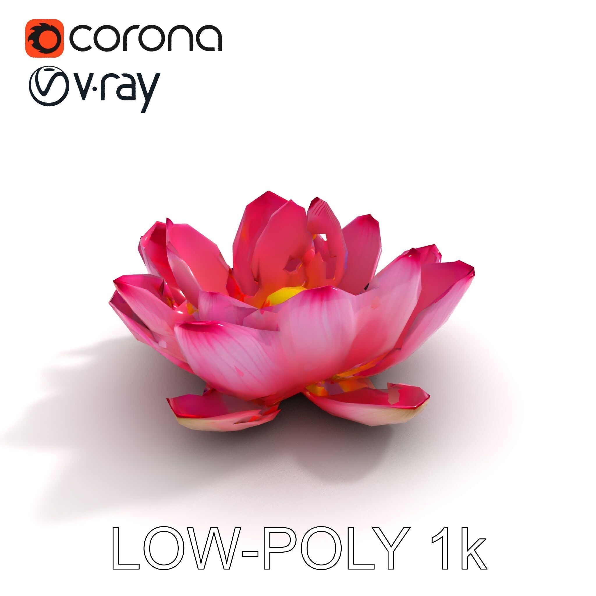 Lotus Flower Model Pack  Detailed Botanical Collection Low-poly 3D model_10