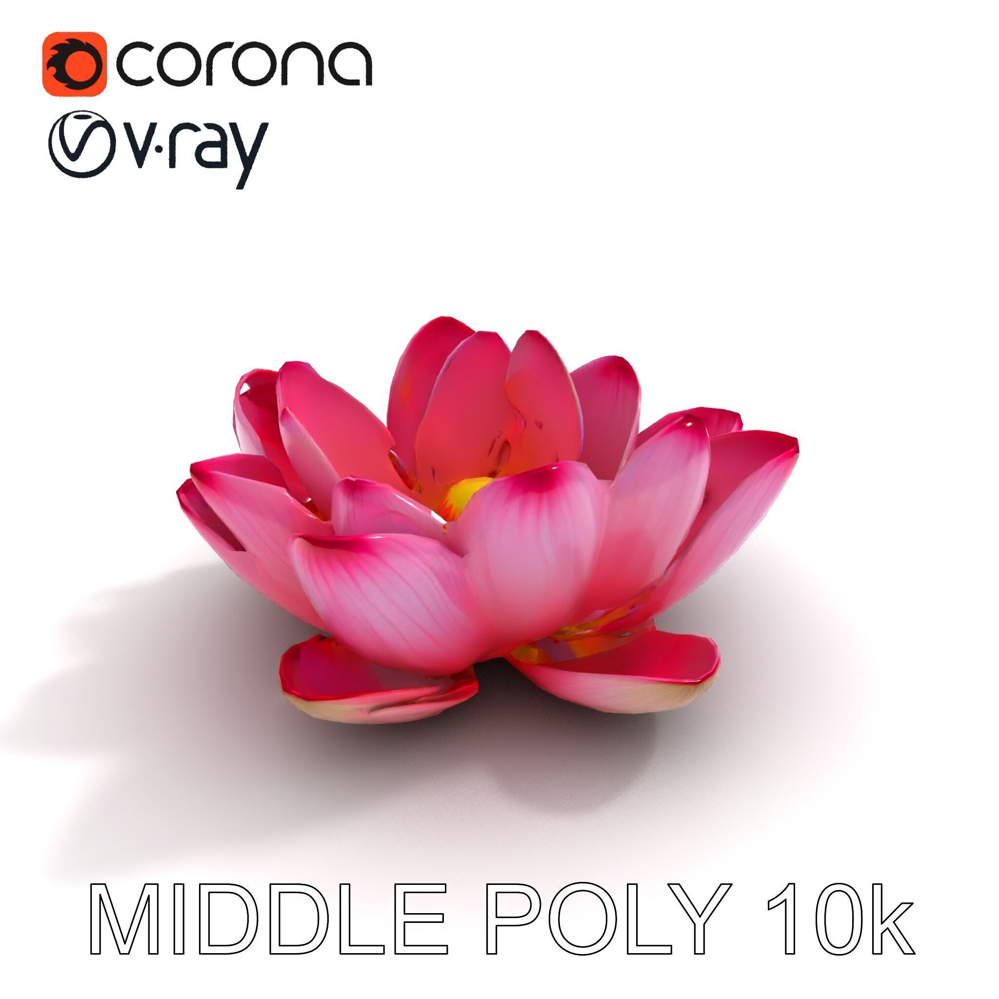 Lotus Flower Model Pack  Detailed Botanical Collection Low-poly 3D model_12