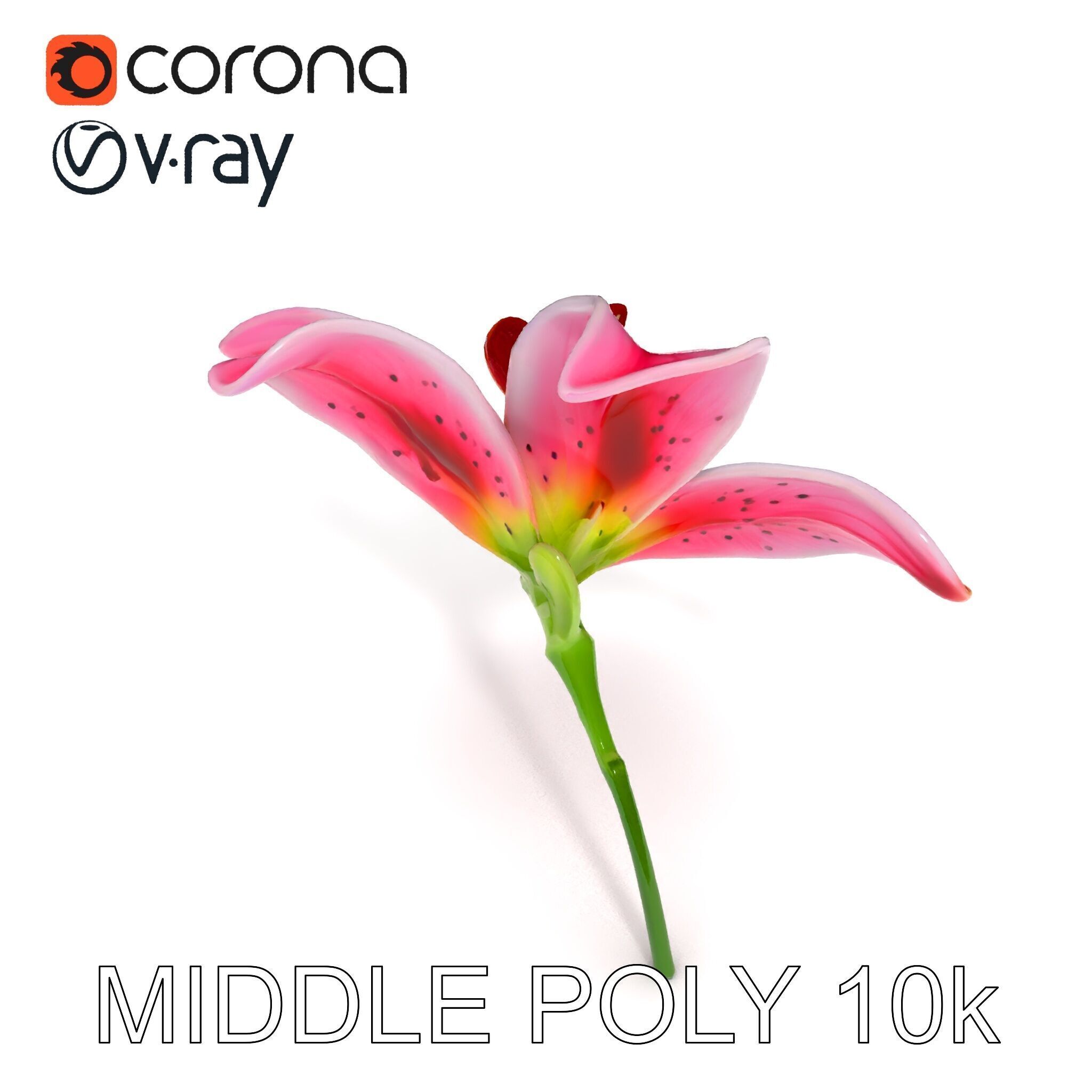Realistic Pink Lily Flower D Model Pack Low-poly 3D model_23