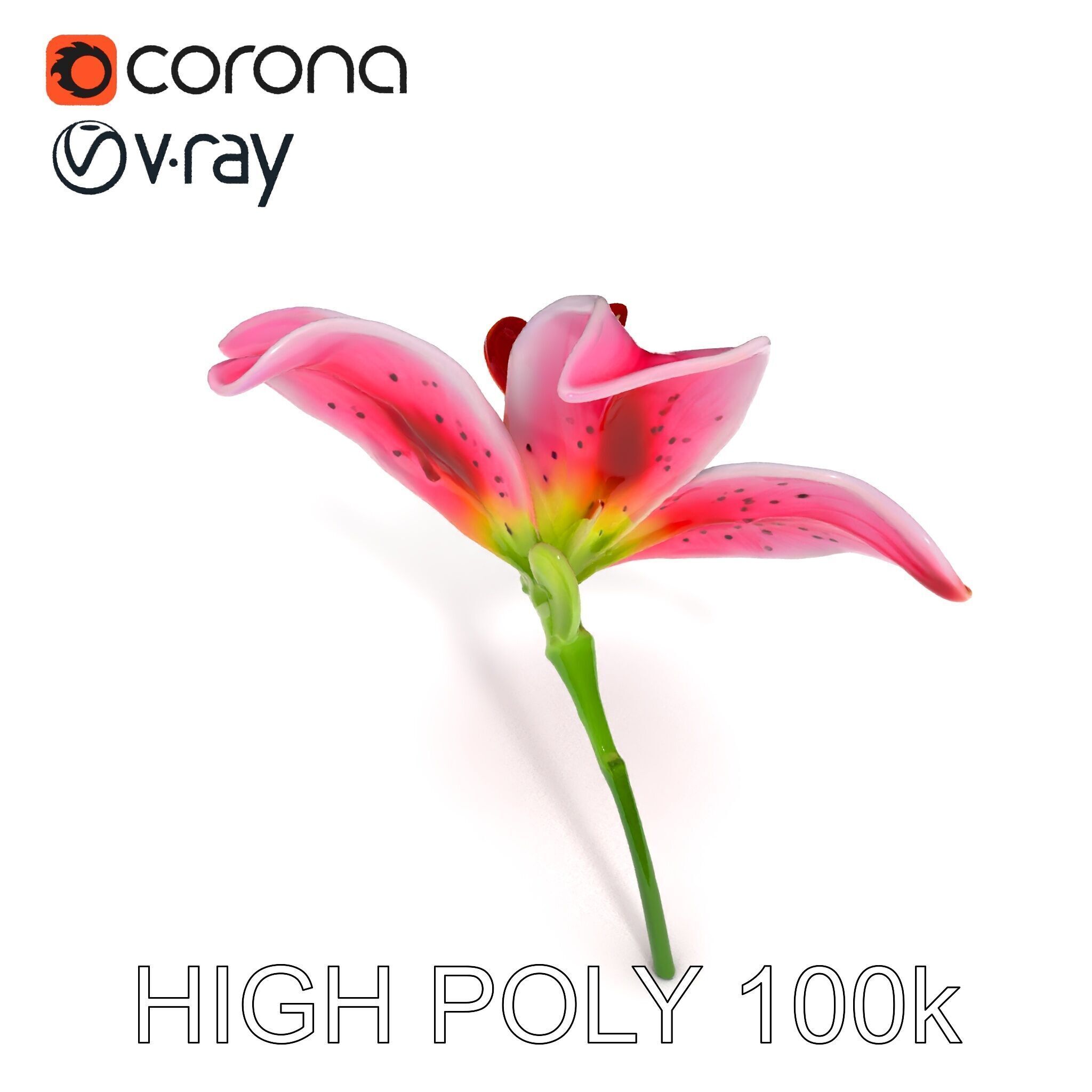 Realistic Pink Lily Flower D Model Pack Low-poly 3D model_19