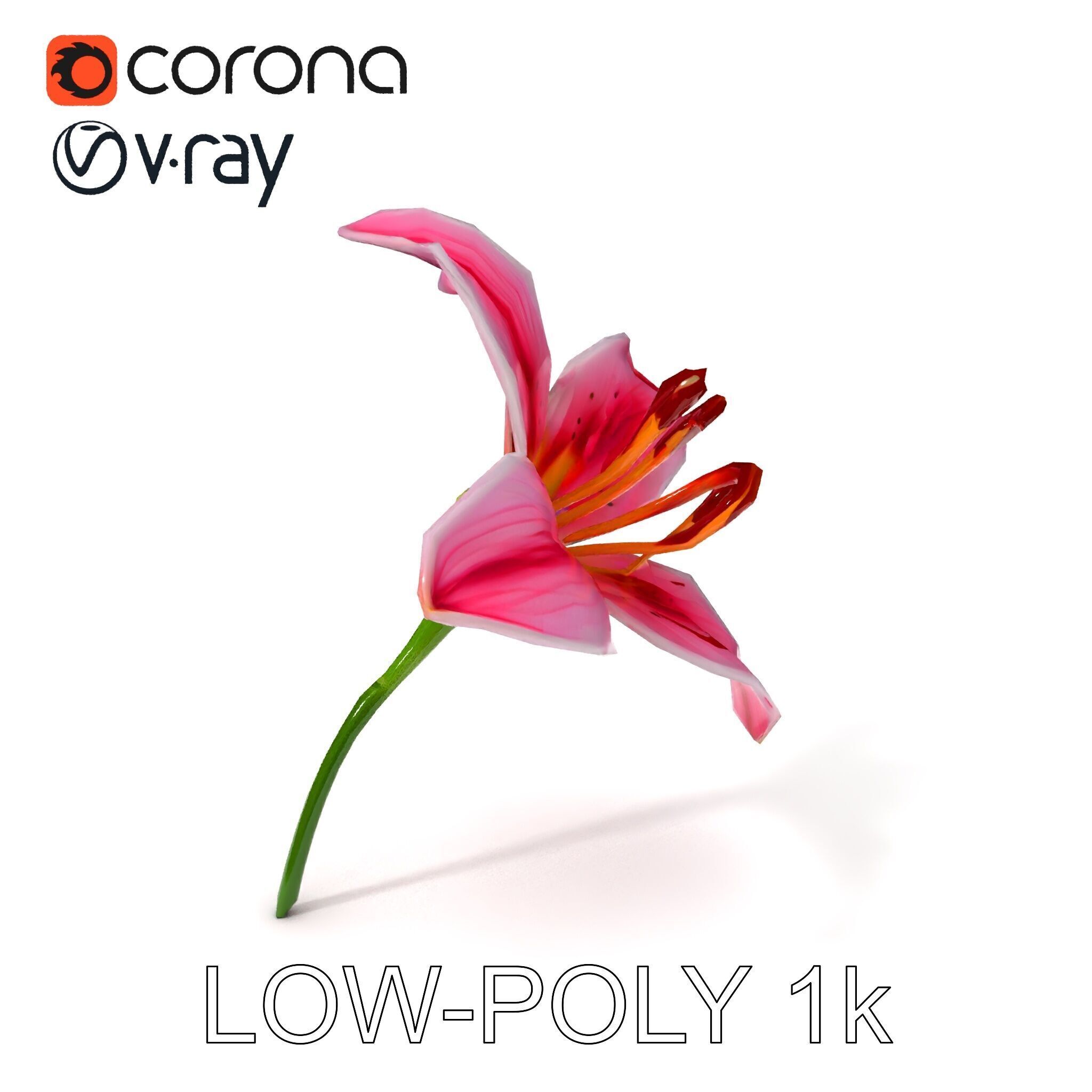 Realistic Pink Lily Flower D Model Pack Low-poly 3D model_21