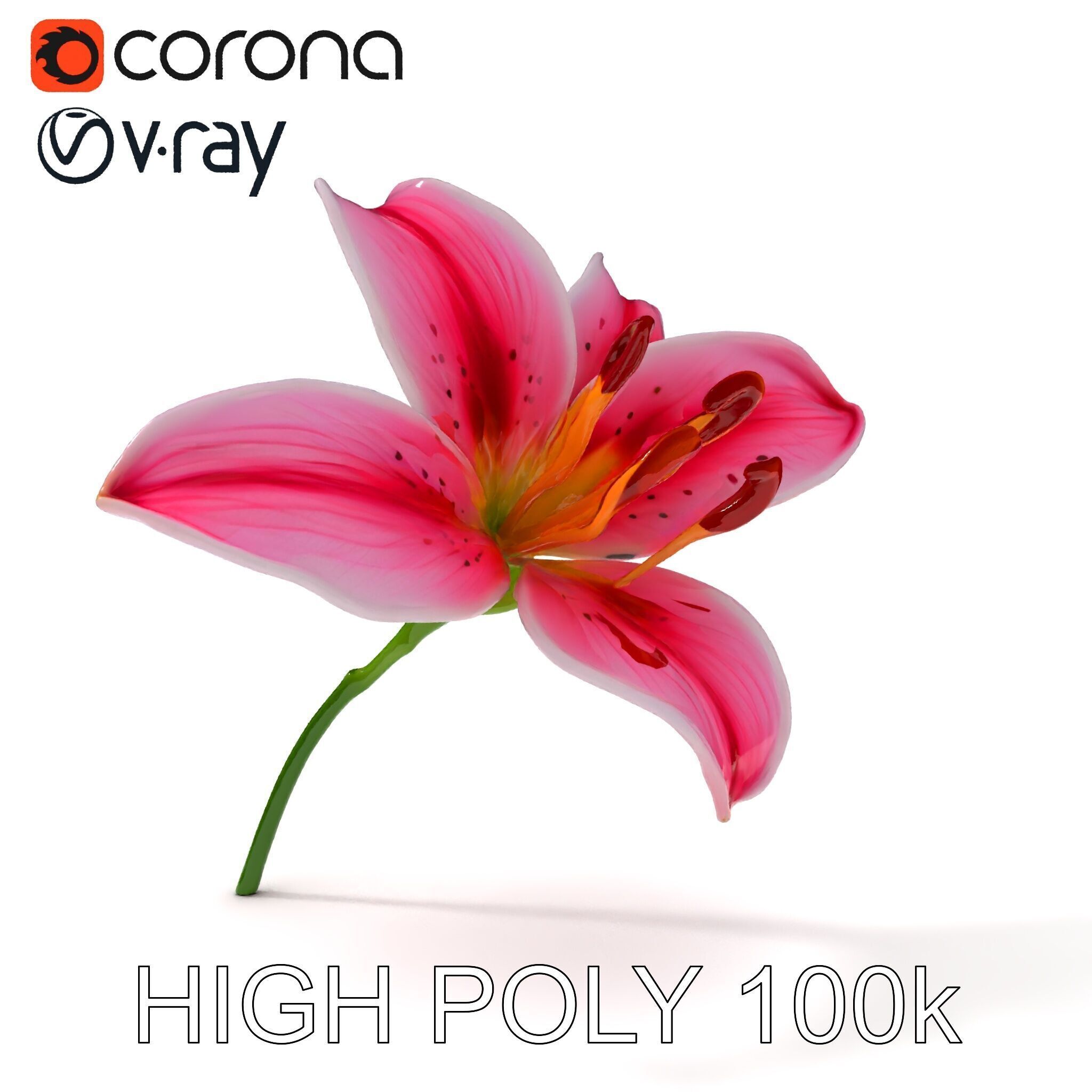 Realistic Pink Lily Flower D Model Pack Low-poly 3D model_16