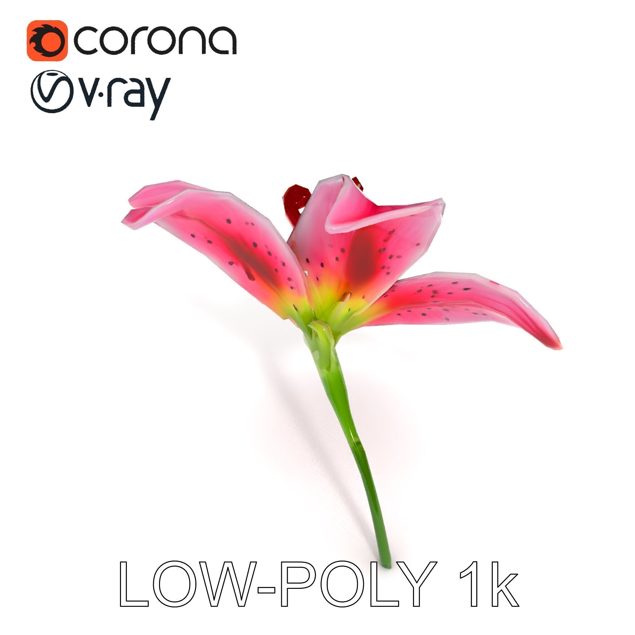 Realistic Pink Lily Flower D Model Pack Low-poly 3D model_10