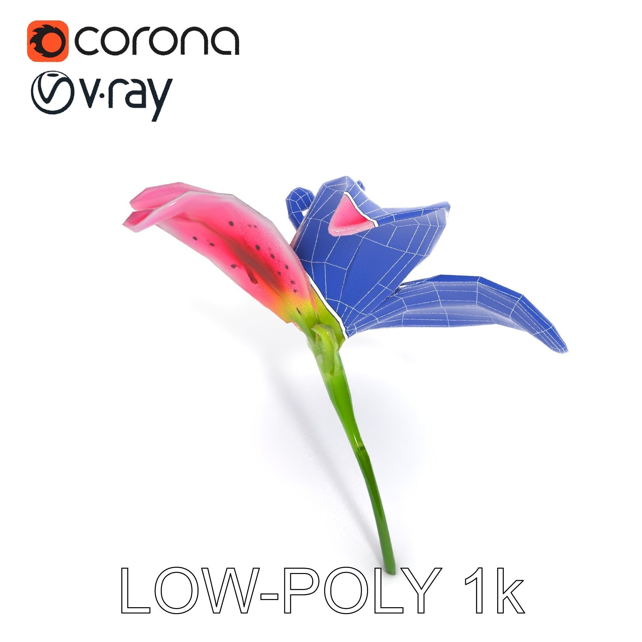 Realistic Pink Lily Flower D Model Pack Low-poly 3D model_15