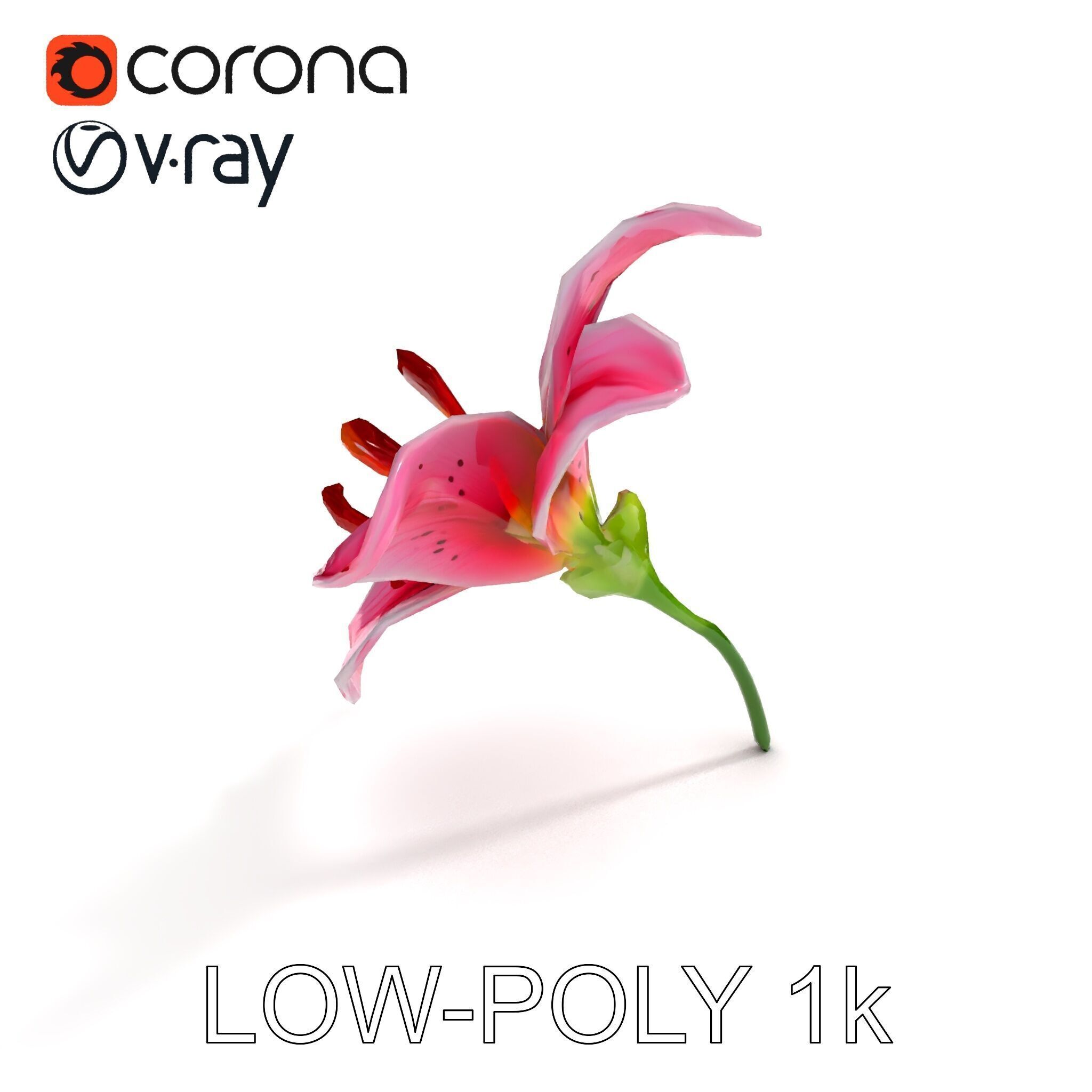 Realistic Pink Lily Flower D Model Pack Low-poly 3D model_31