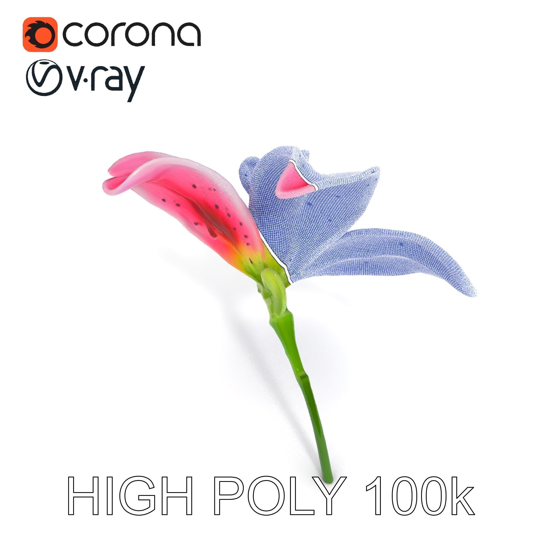 Realistic Pink Lily Flower D Model Pack Low-poly 3D model_34