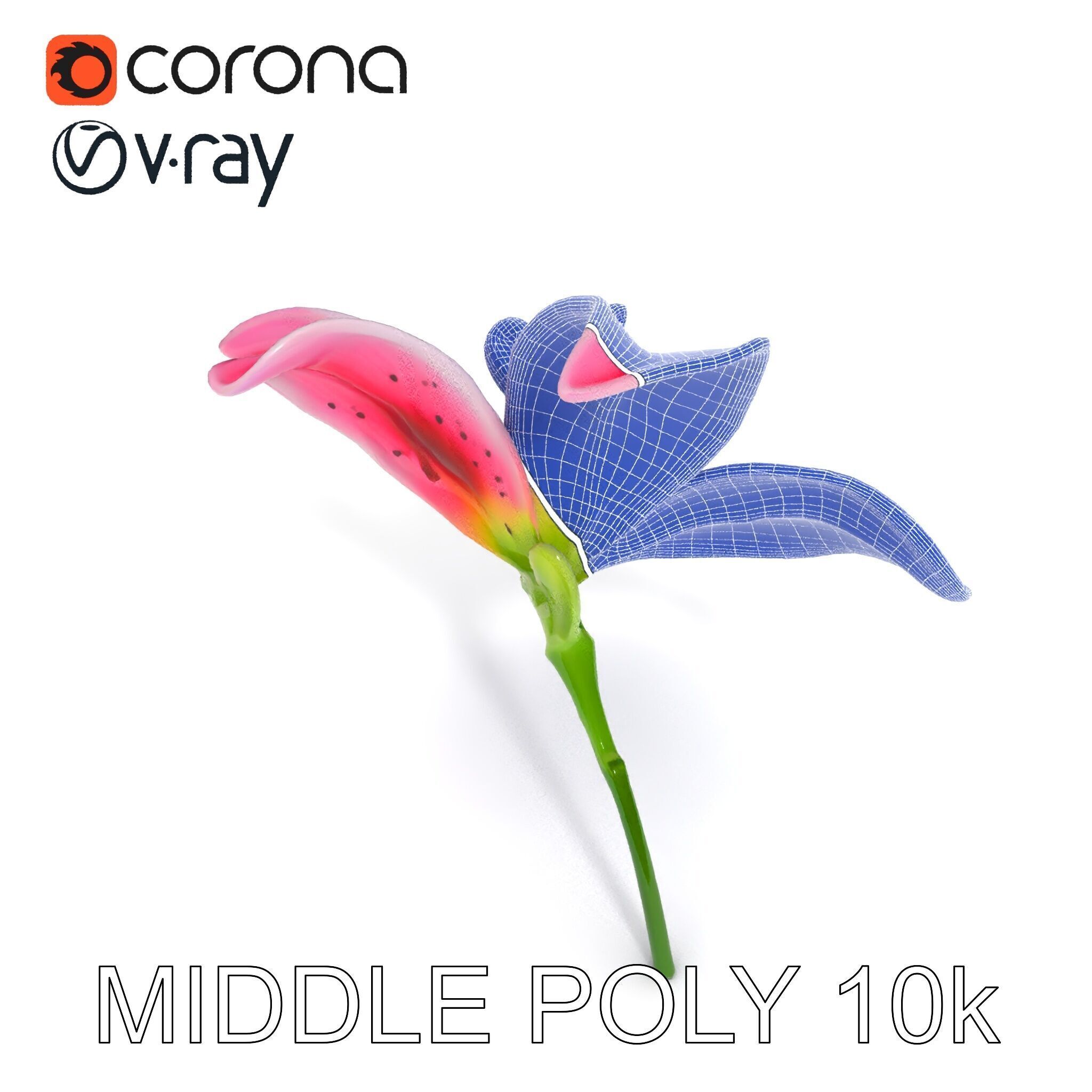 Realistic Pink Lily Flower D Model Pack Low-poly 3D model_32