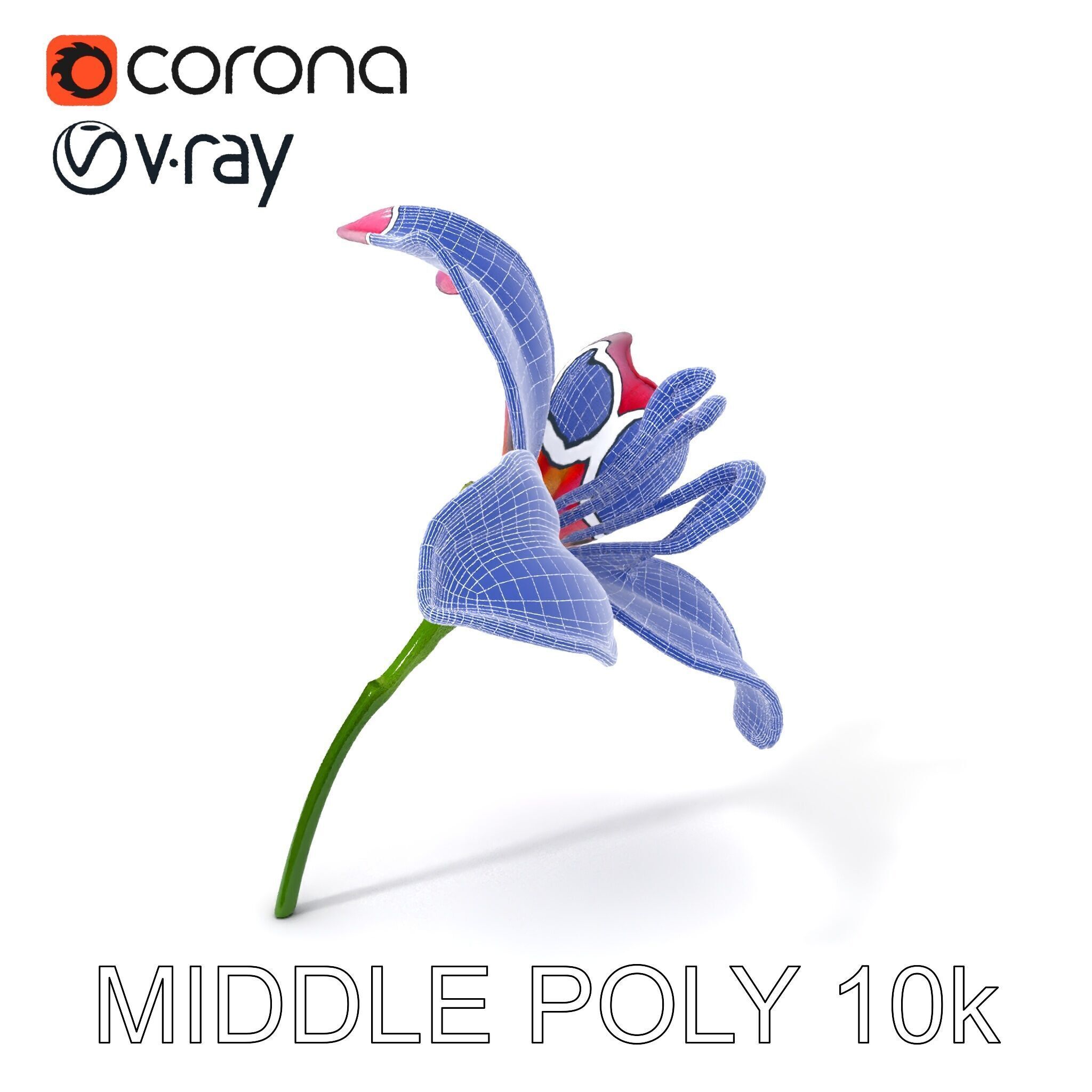 Realistic Pink Lily Flower D Model Pack Low-poly 3D model_17