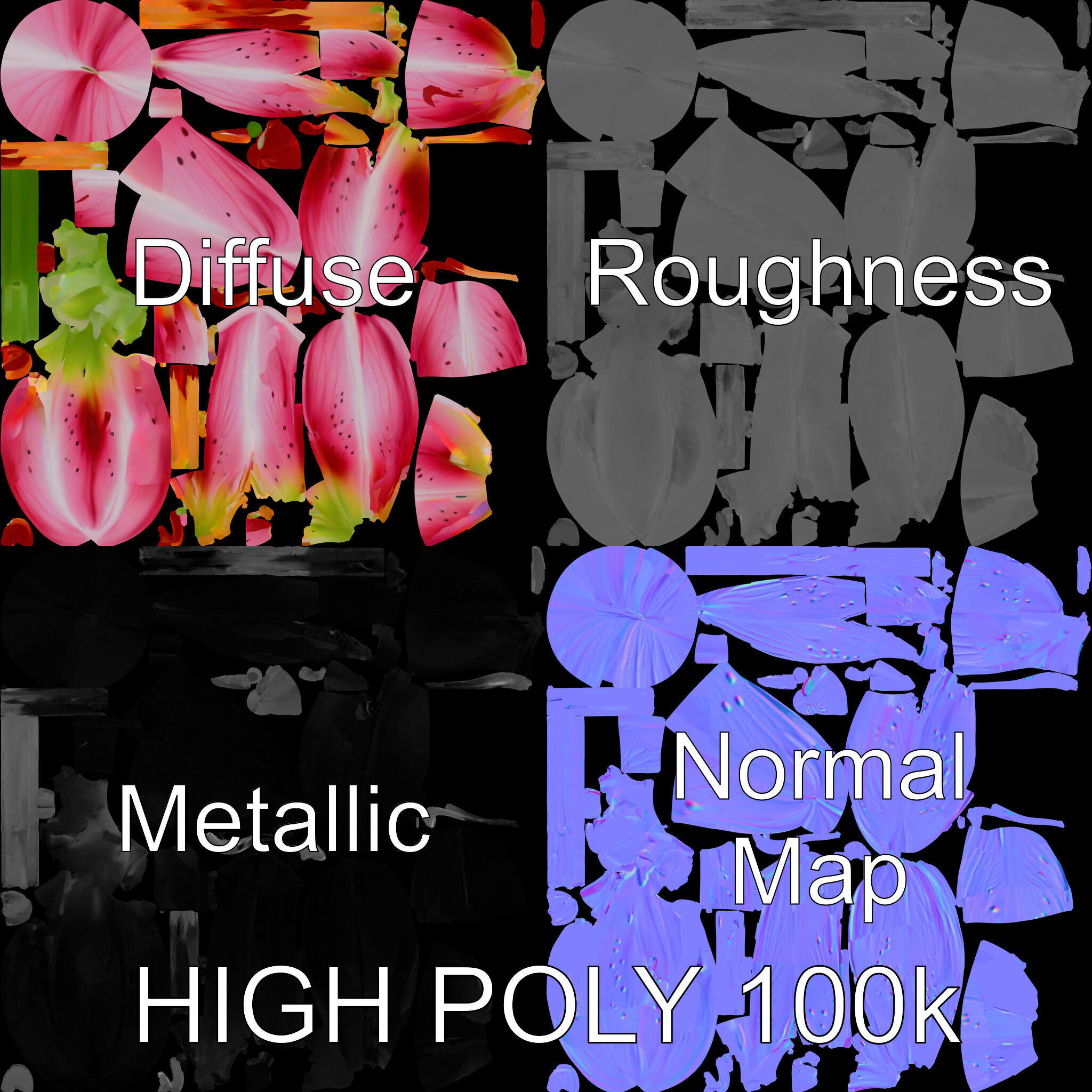 Realistic Pink Lily Flower D Model Pack Low-poly 3D model_2