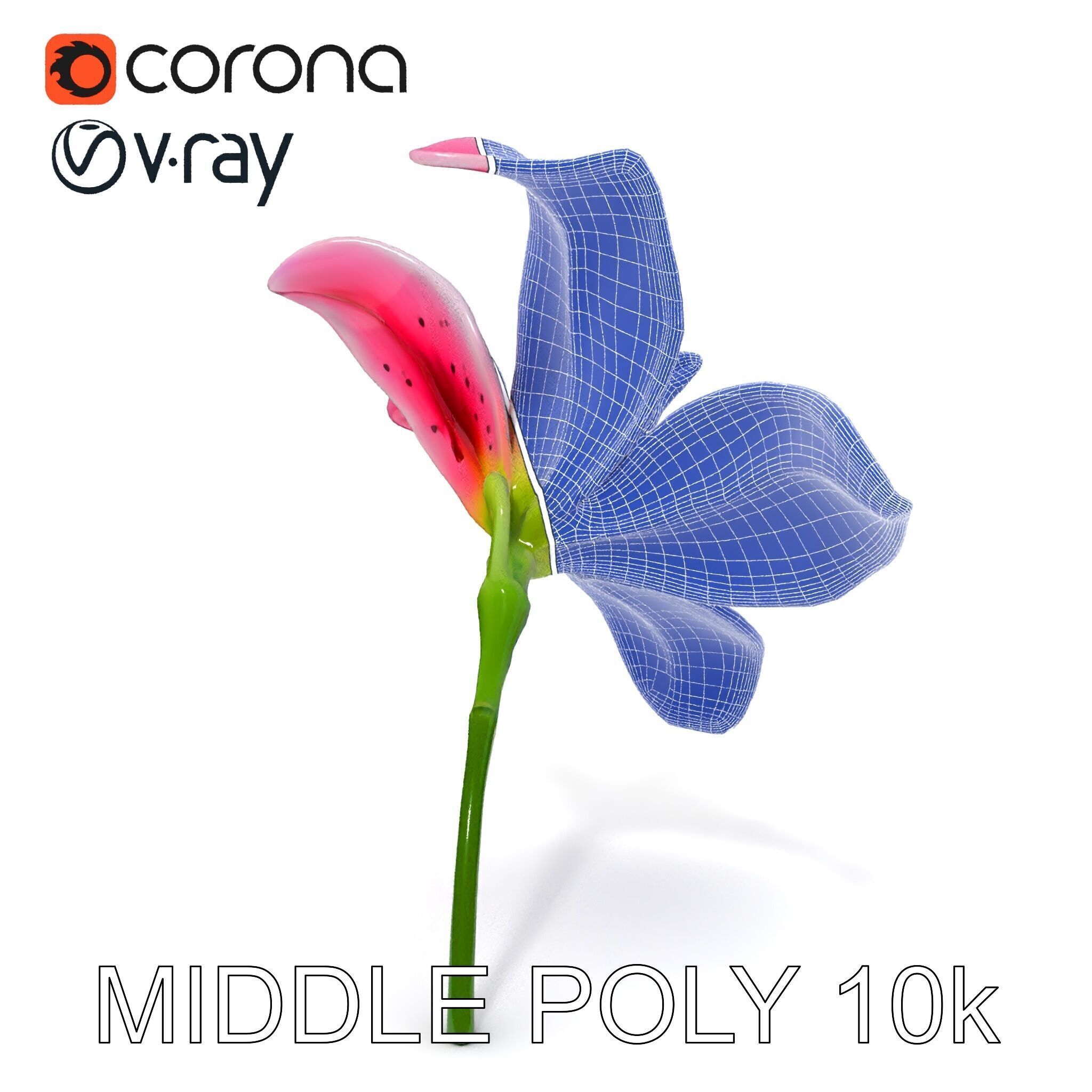 Realistic Pink Lily Flower D Model Pack Low-poly 3D model_30