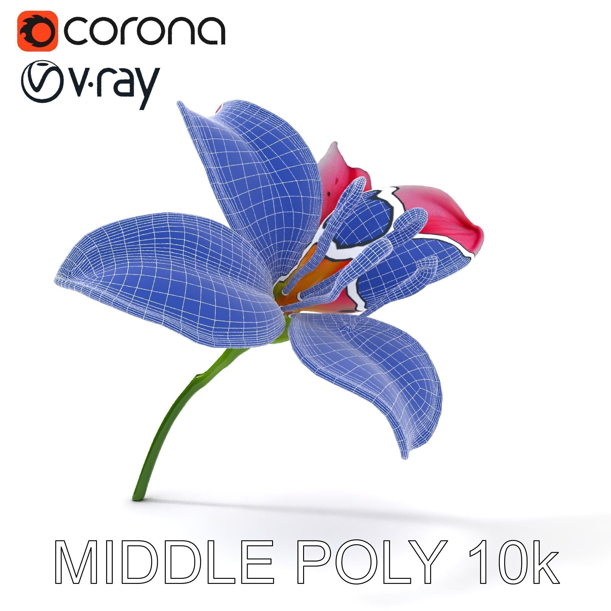 Realistic Pink Lily Flower D Model Pack Low-poly 3D model_20