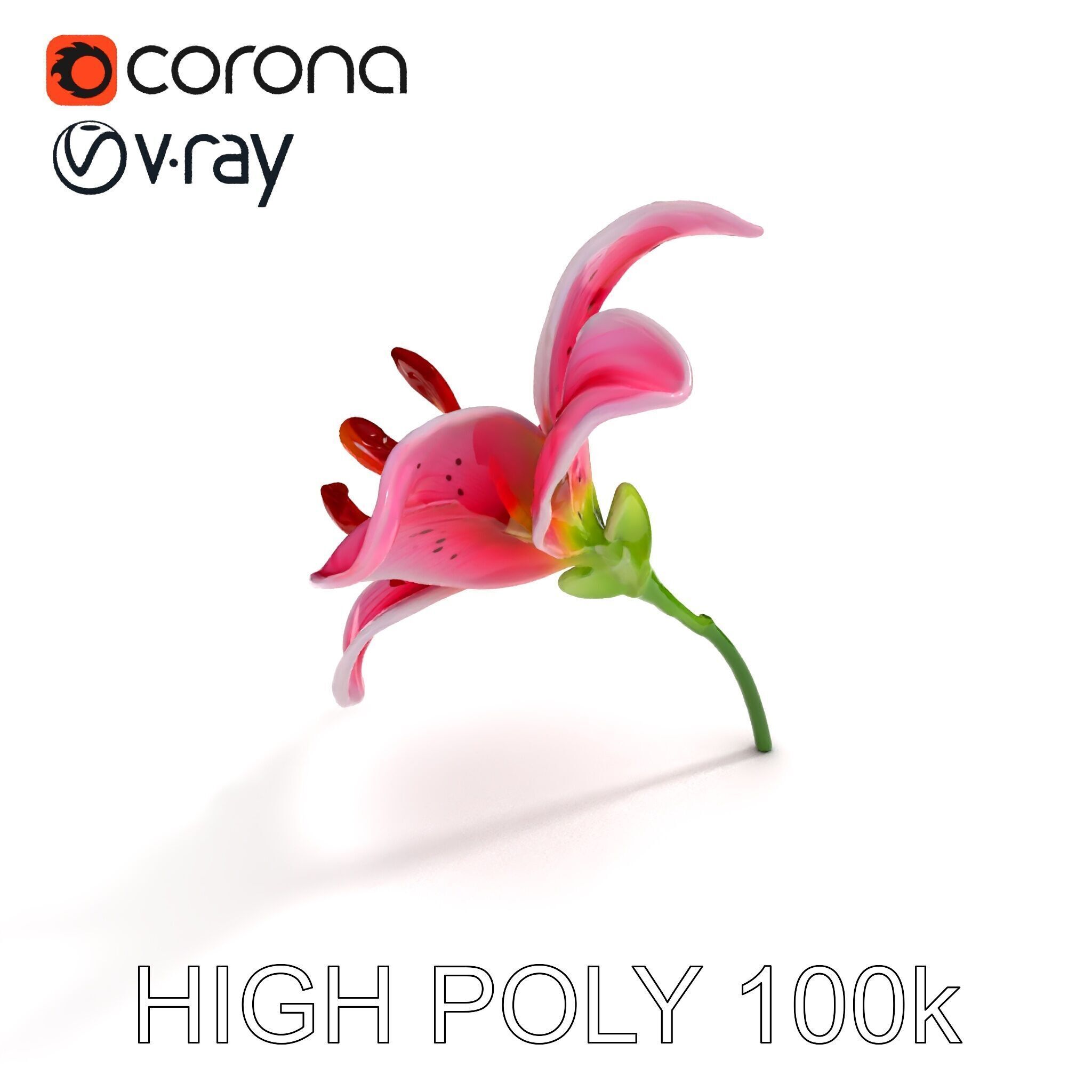 Realistic Pink Lily Flower D Model Pack Low-poly 3D model_22