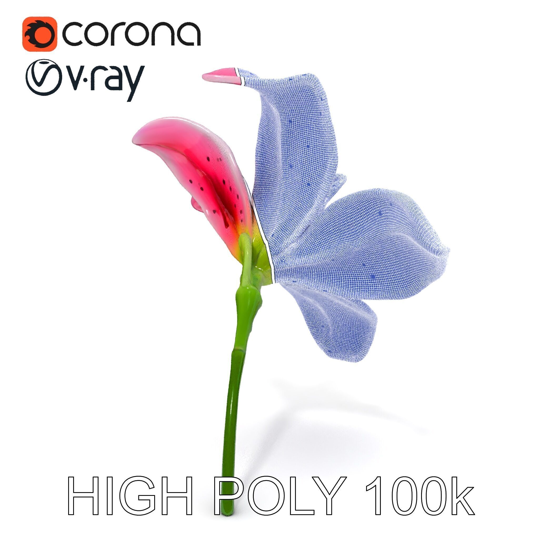 Realistic Pink Lily Flower D Model Pack Low-poly 3D model_27