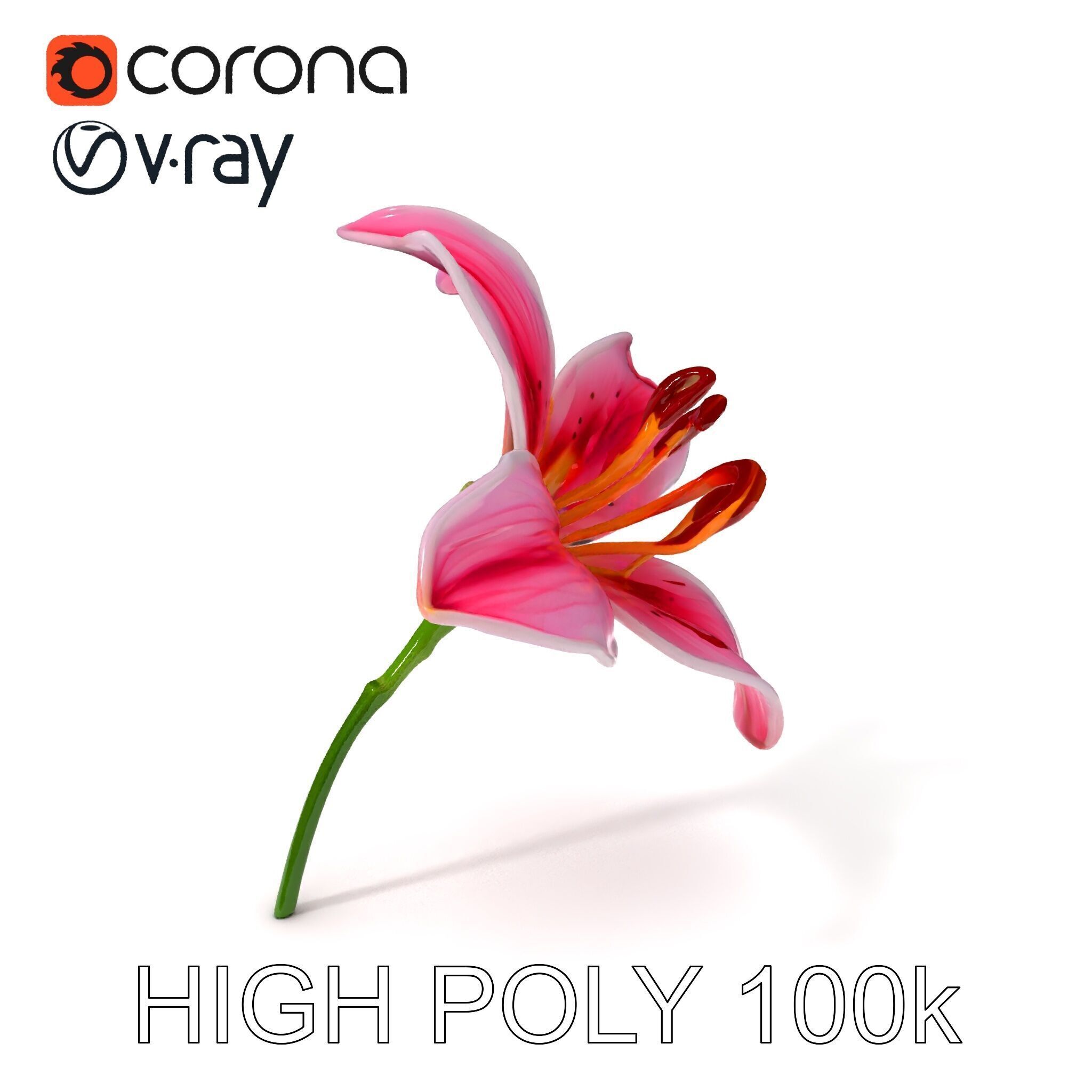 Realistic Pink Lily Flower D Model Pack Low-poly 3D model_3