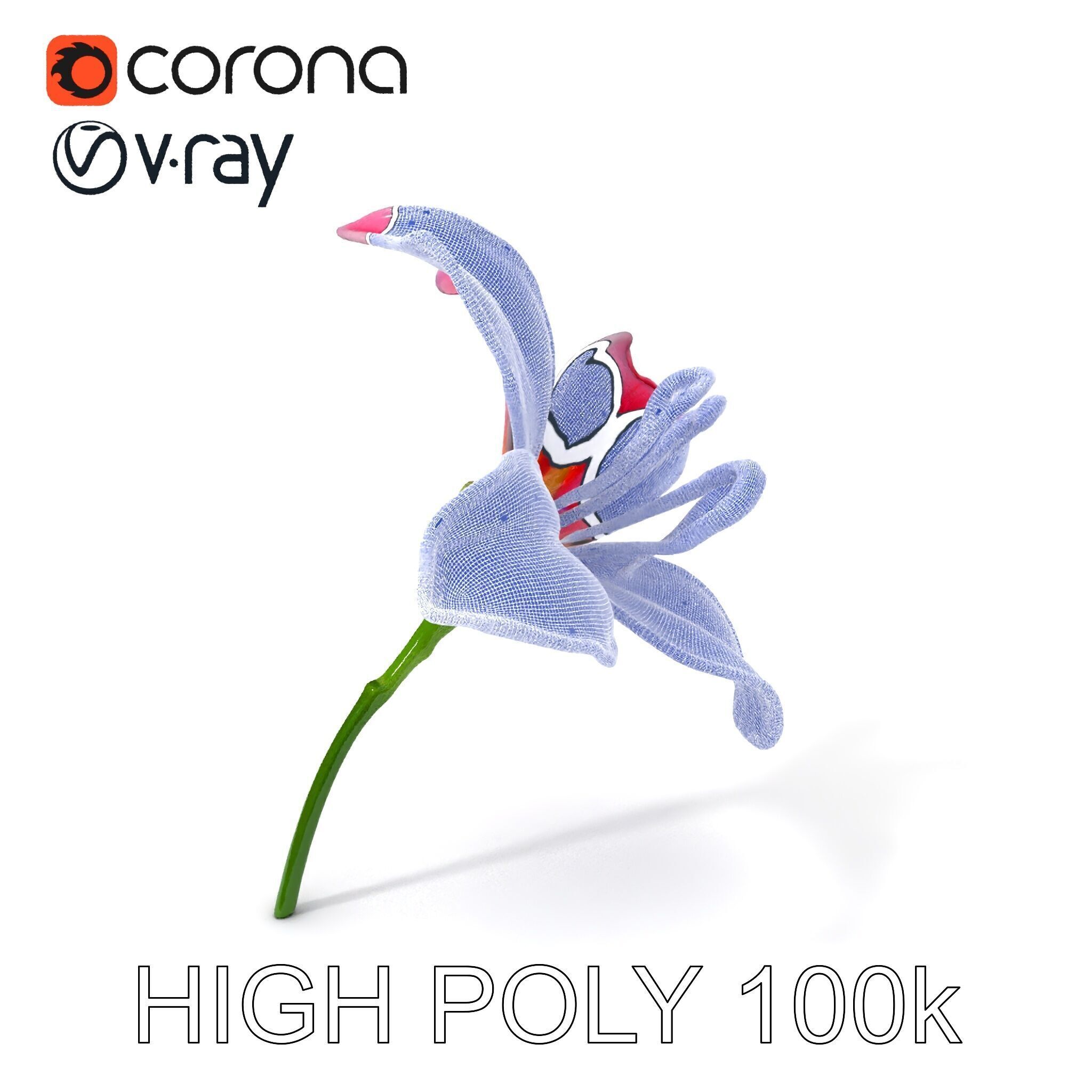 Realistic Pink Lily Flower D Model Pack Low-poly 3D model_4