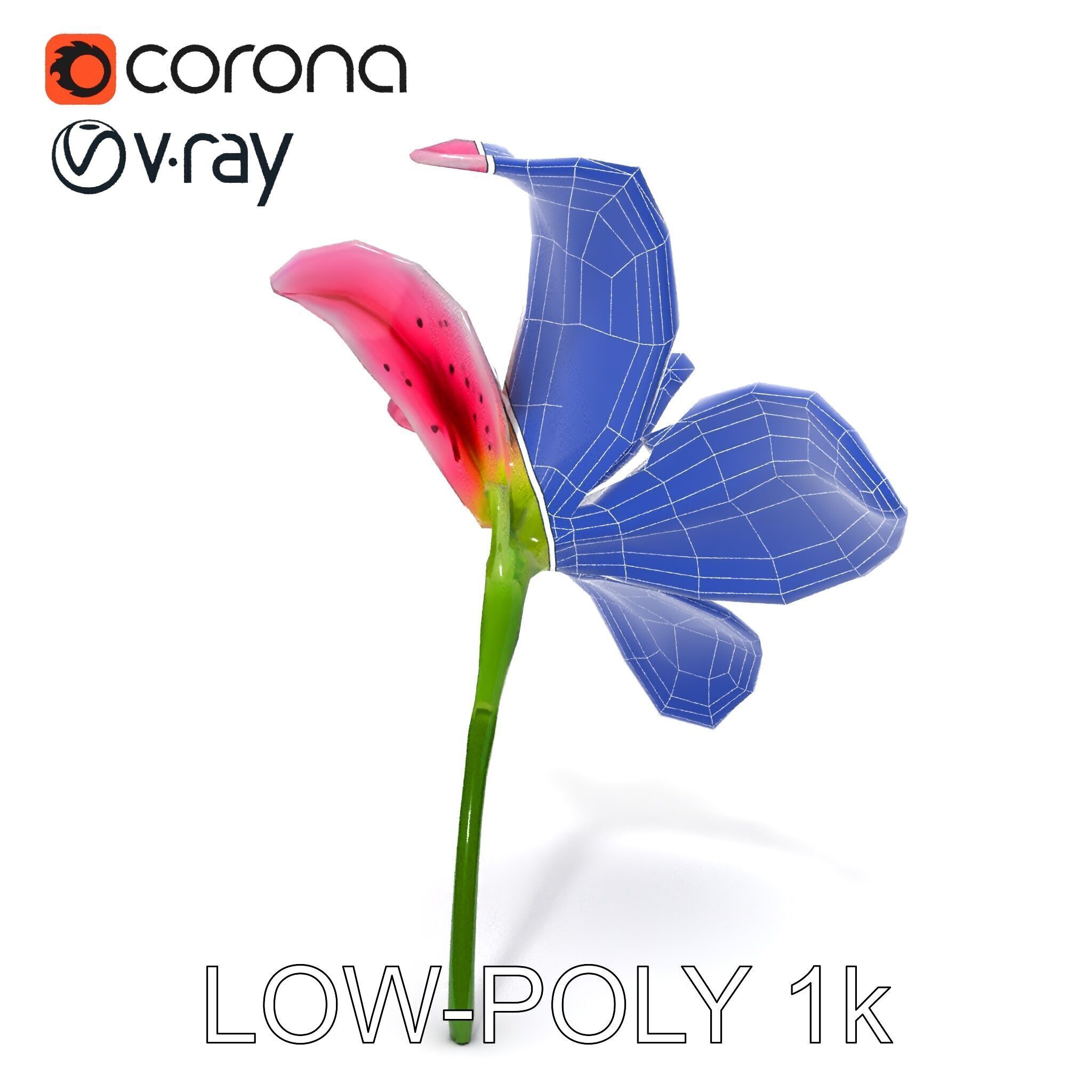 Realistic Pink Lily Flower D Model Pack Low-poly 3D model_7