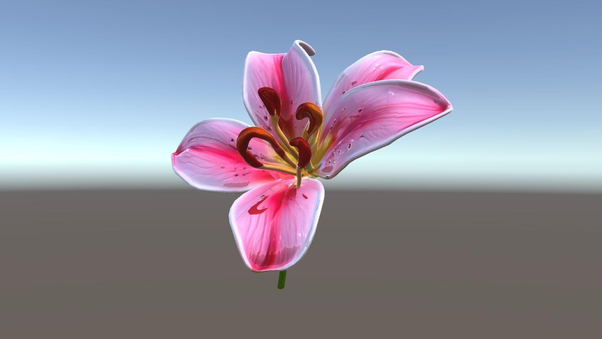 Realistic Pink Lily Flower D Model Pack Low-poly 3D model_28