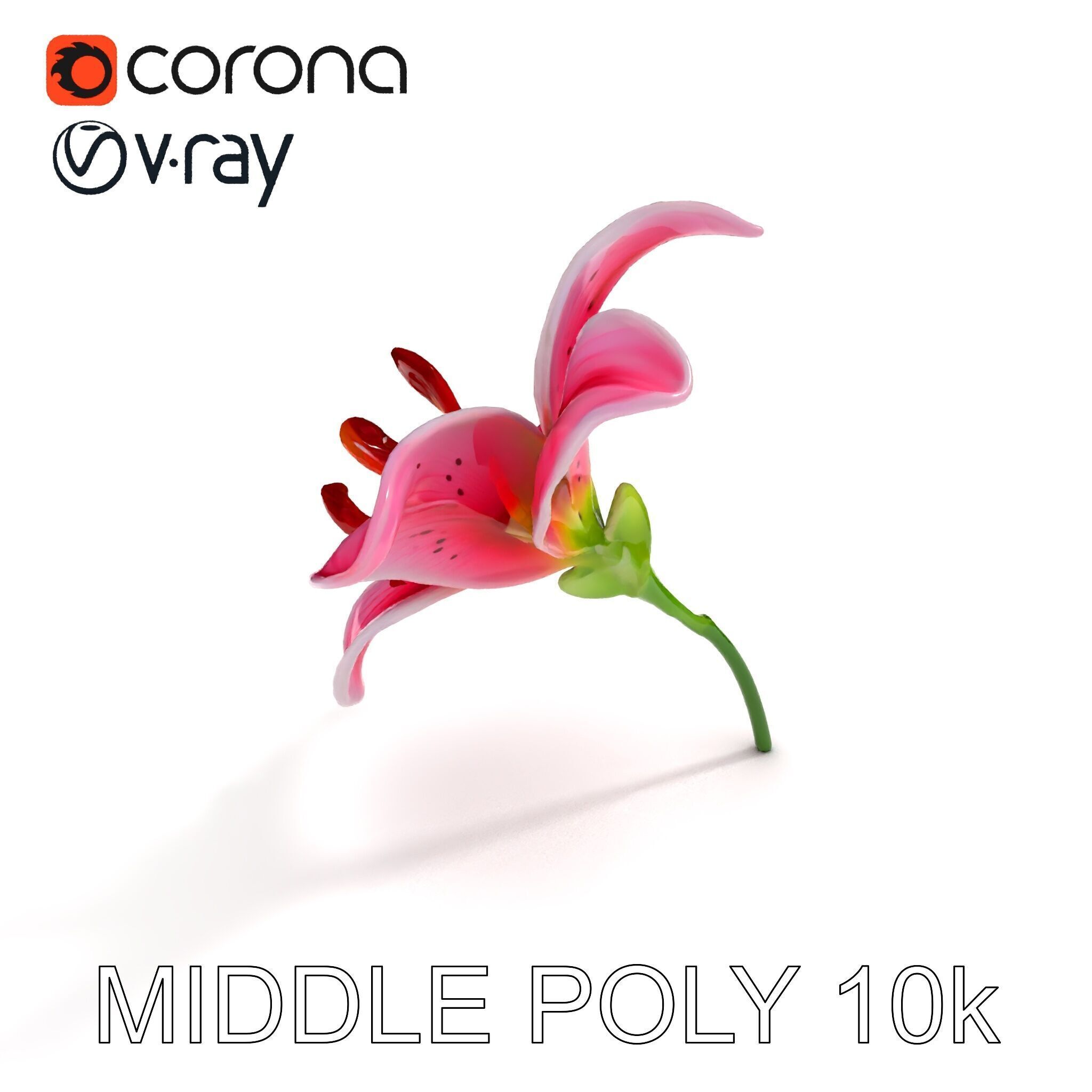 Realistic Pink Lily Flower D Model Pack Low-poly 3D model_14