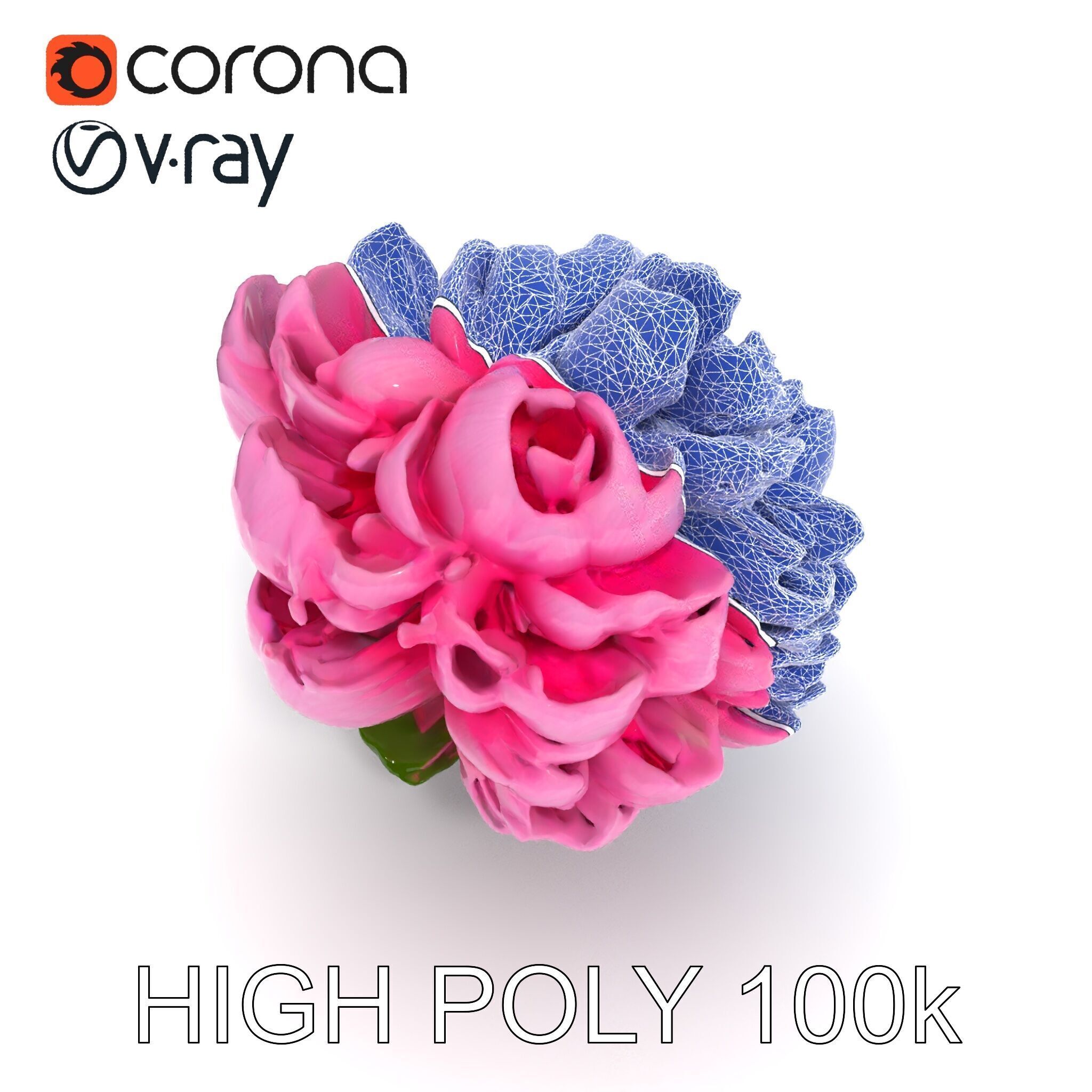 Peony Bloom D Model Pack Low-poly 3D model_23