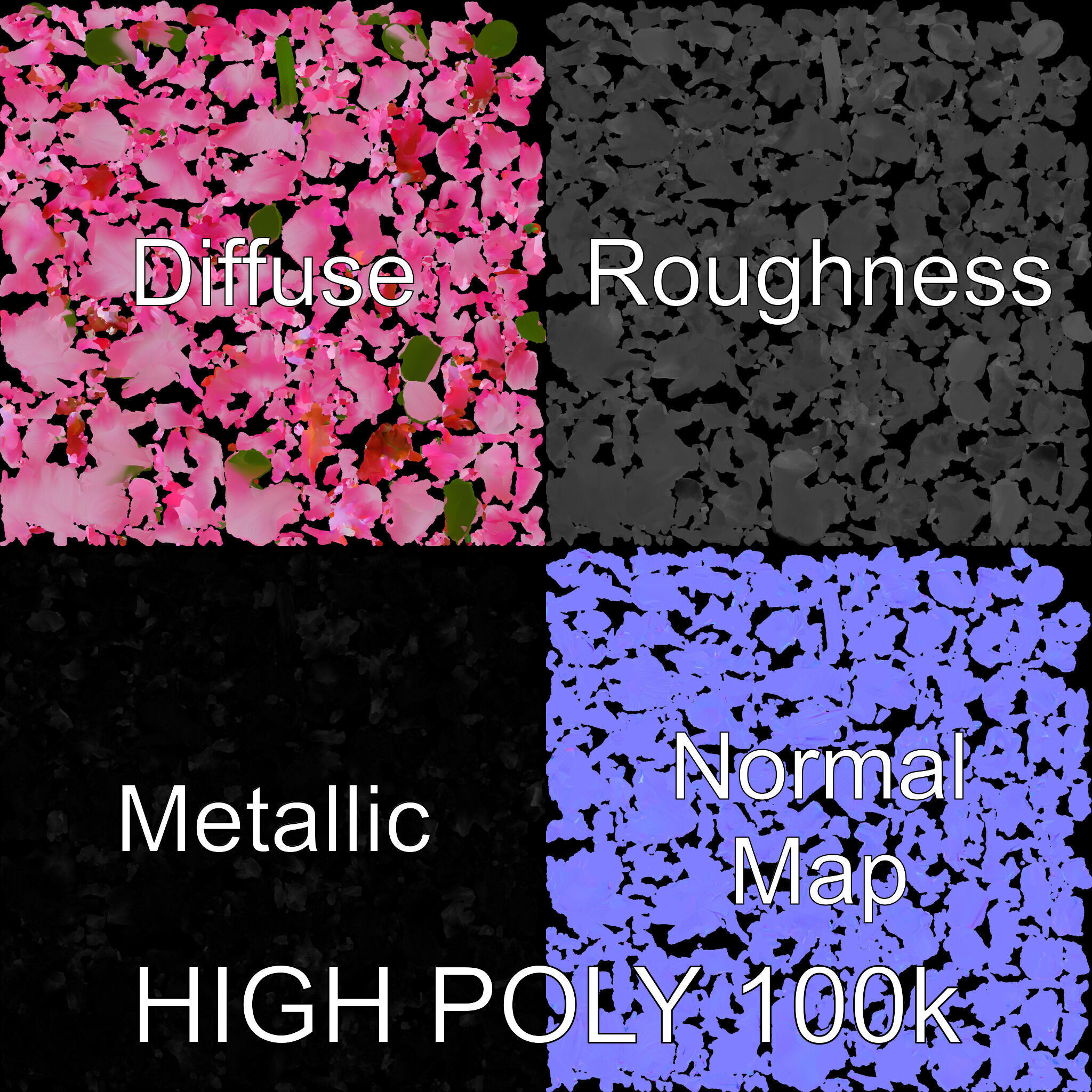 Peony Bloom D Model Pack Low-poly 3D model_2