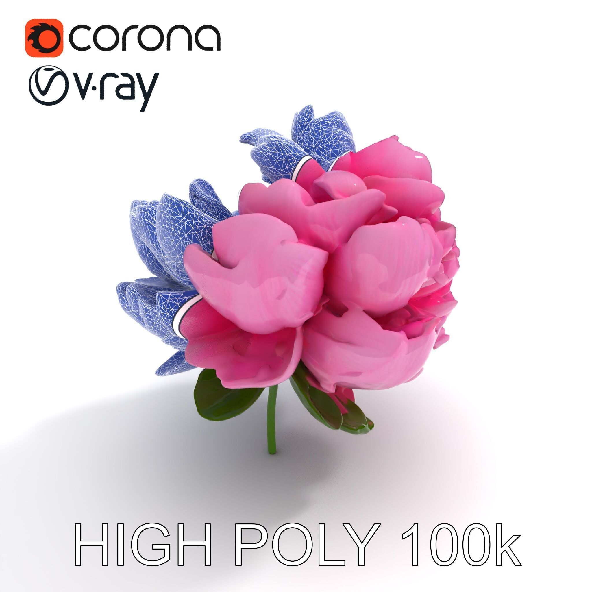 Peony Bloom D Model Pack Low-poly 3D model_32