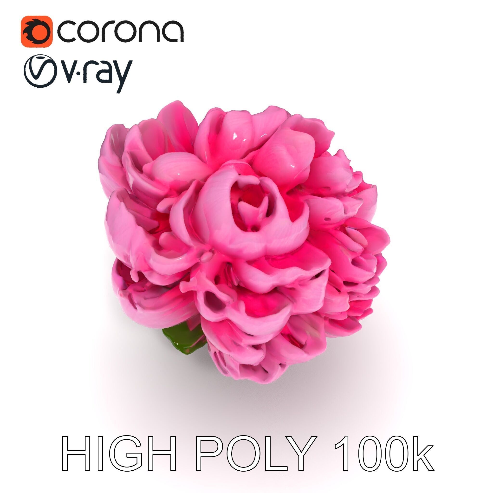 Peony Bloom D Model Pack Low-poly 3D model_20