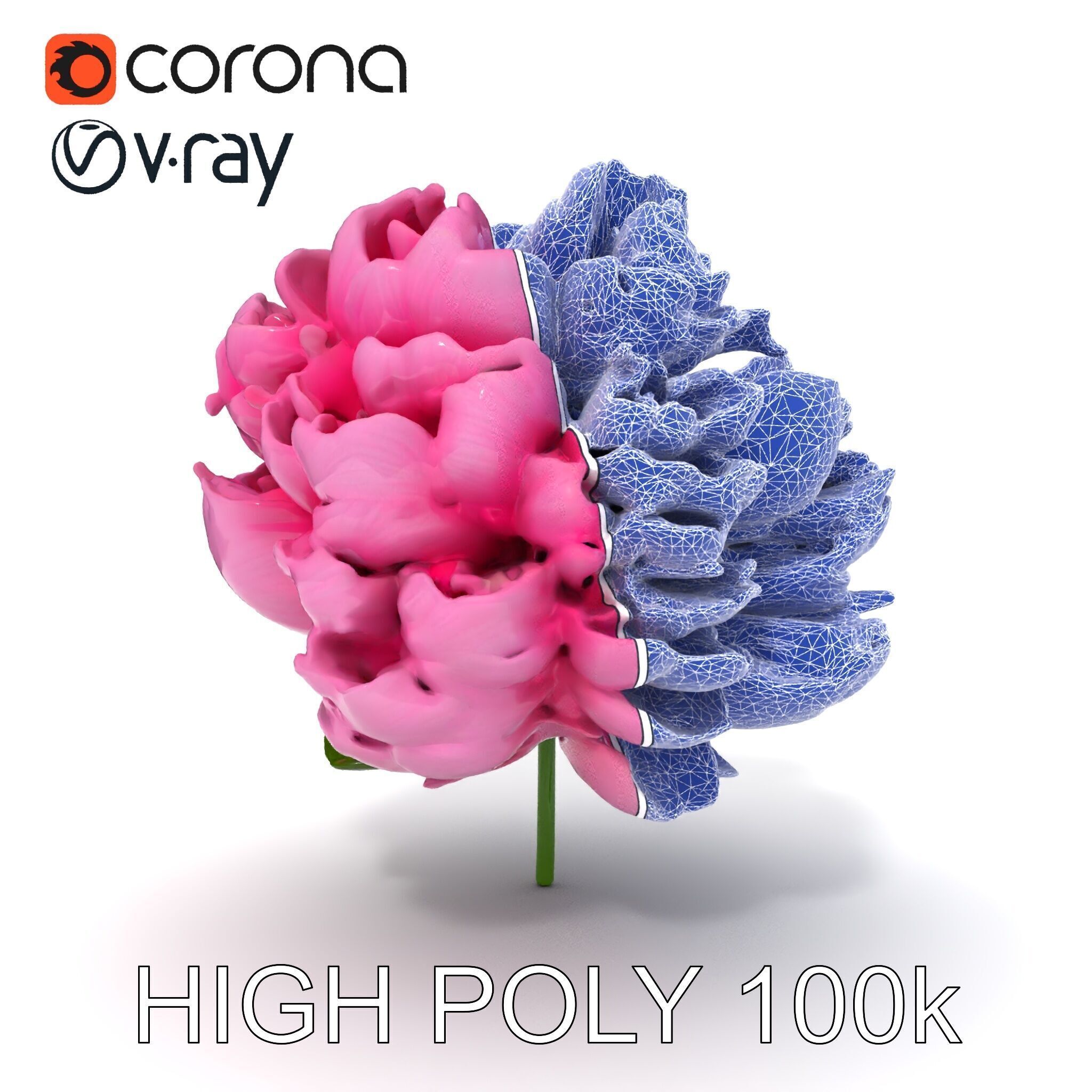 Peony Bloom D Model Pack Low-poly 3D model_18