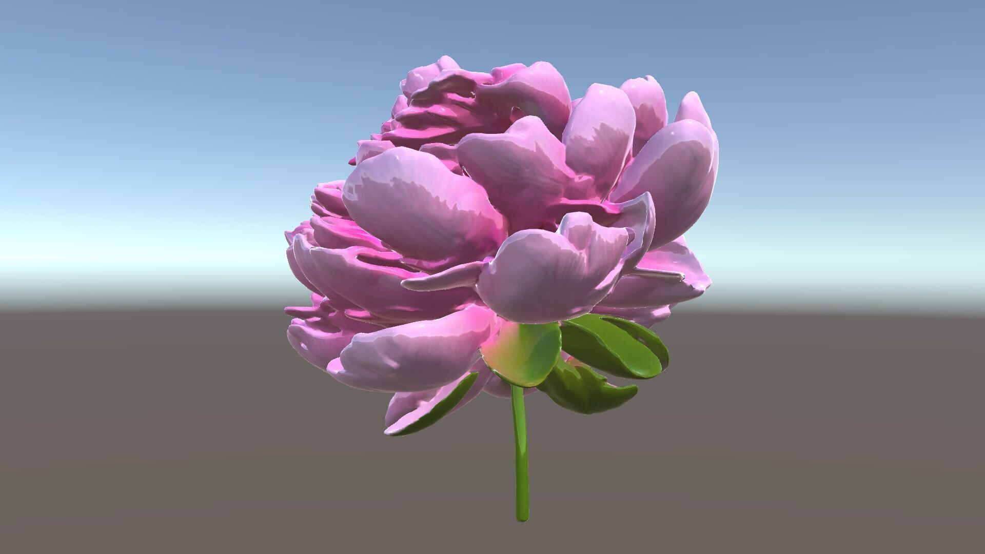 Peony Bloom D Model Pack Low-poly 3D model_5