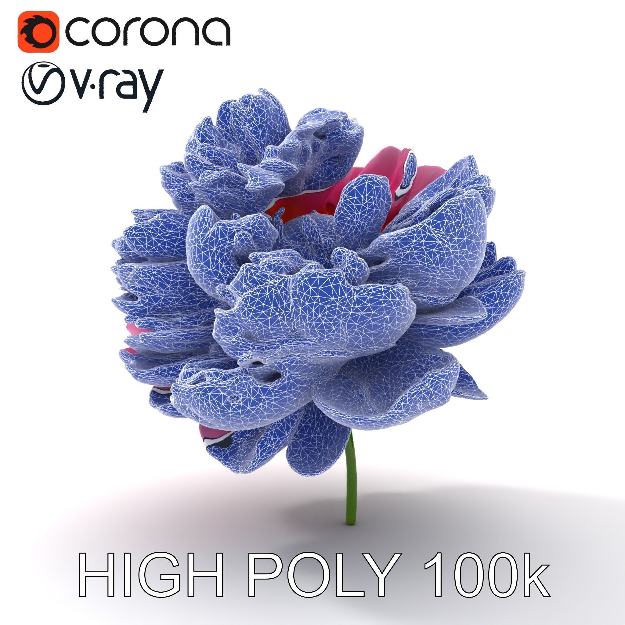 Peony Bloom D Model Pack Low-poly 3D model_15