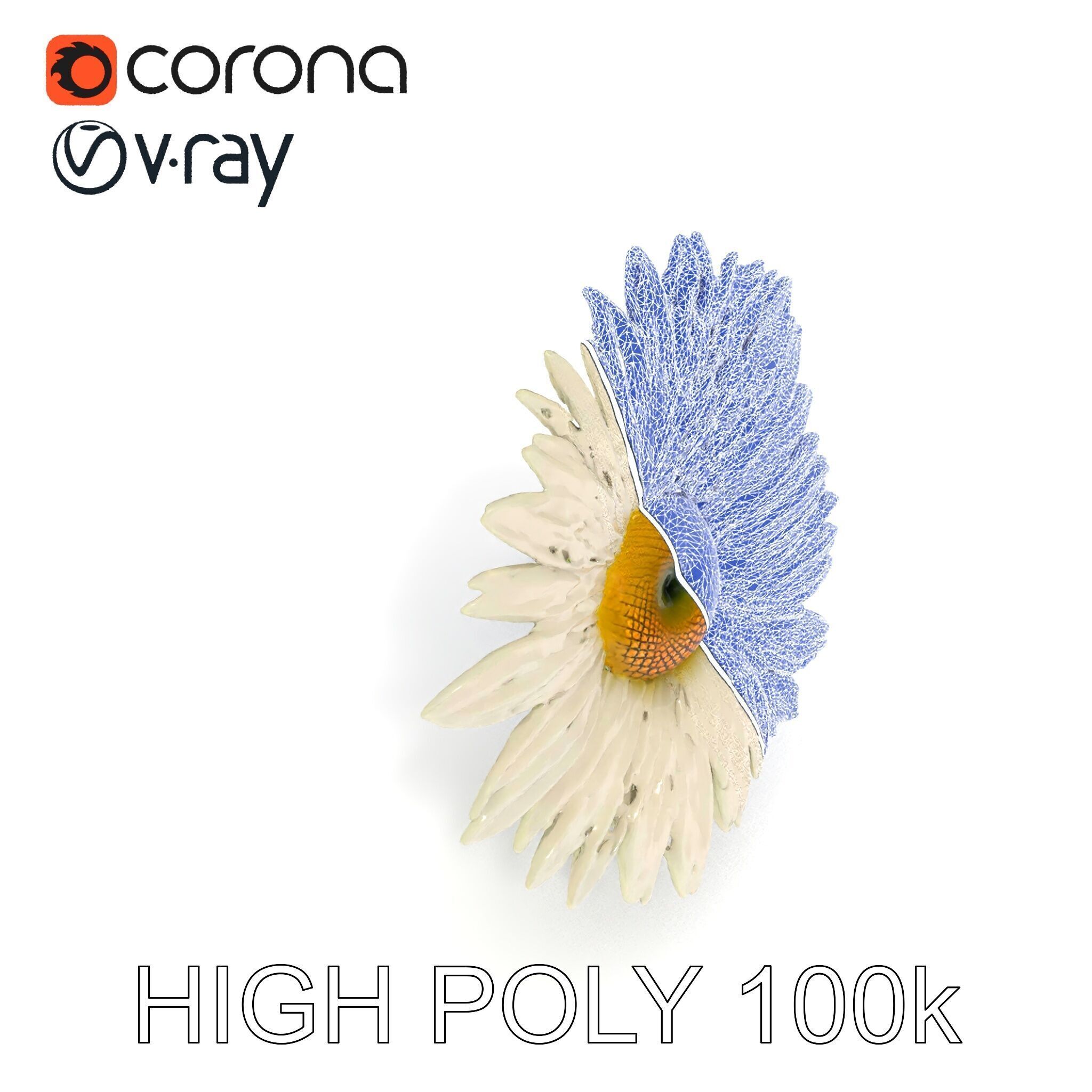Realistic Daisy Flower Model Pack Low-poly 3D model_13