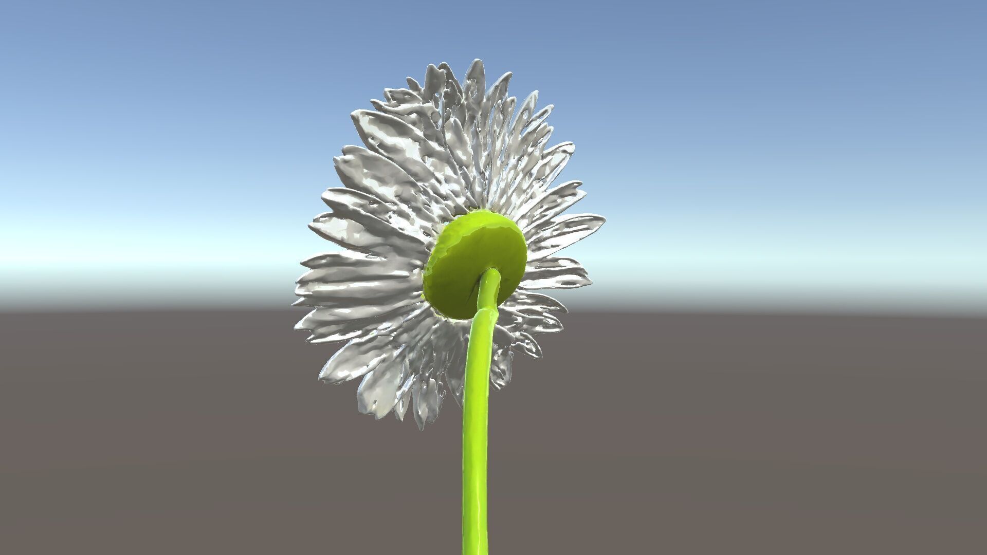 Realistic Daisy Flower Model Pack Low-poly 3D model_31