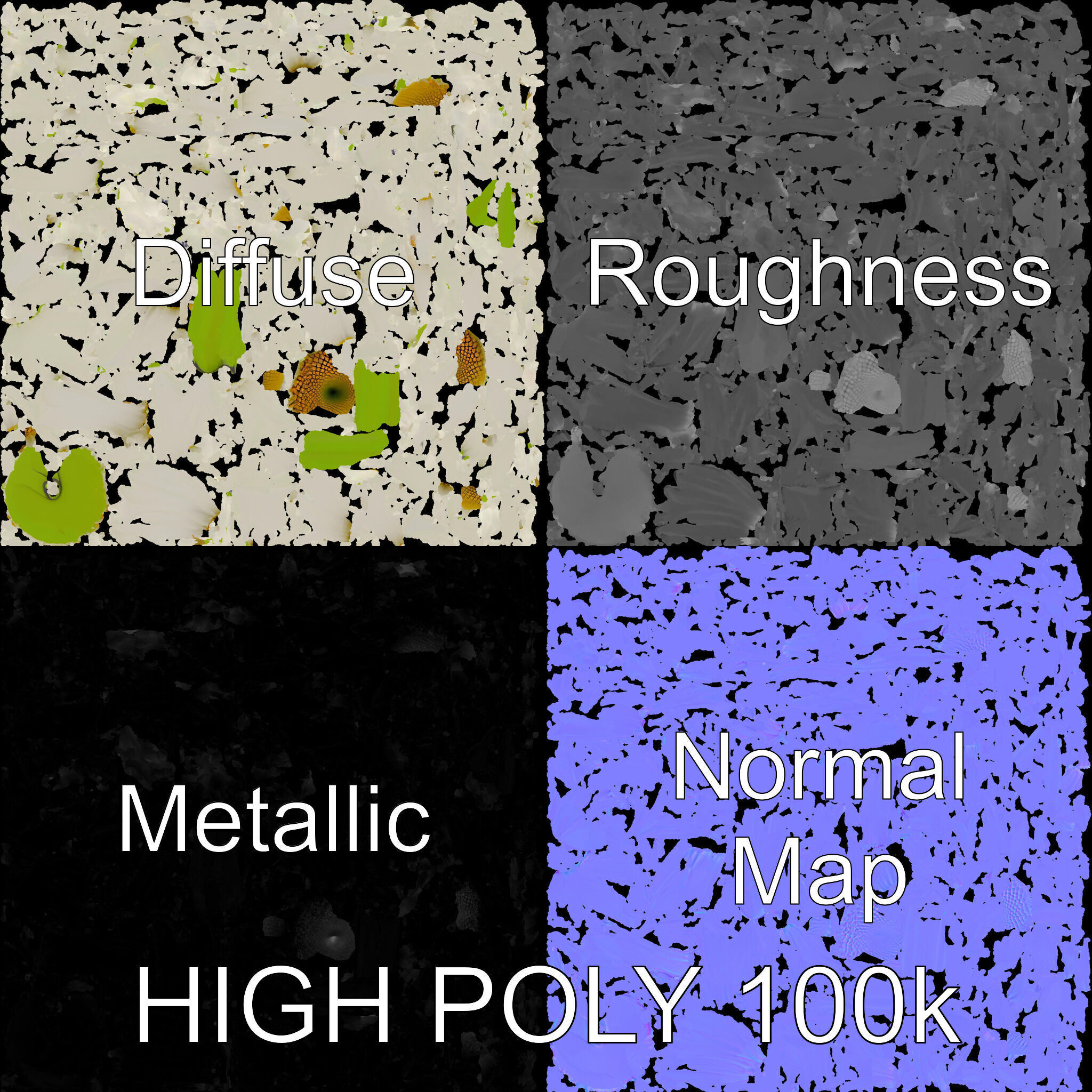 Realistic Daisy Flower Model Pack Low-poly 3D model_2