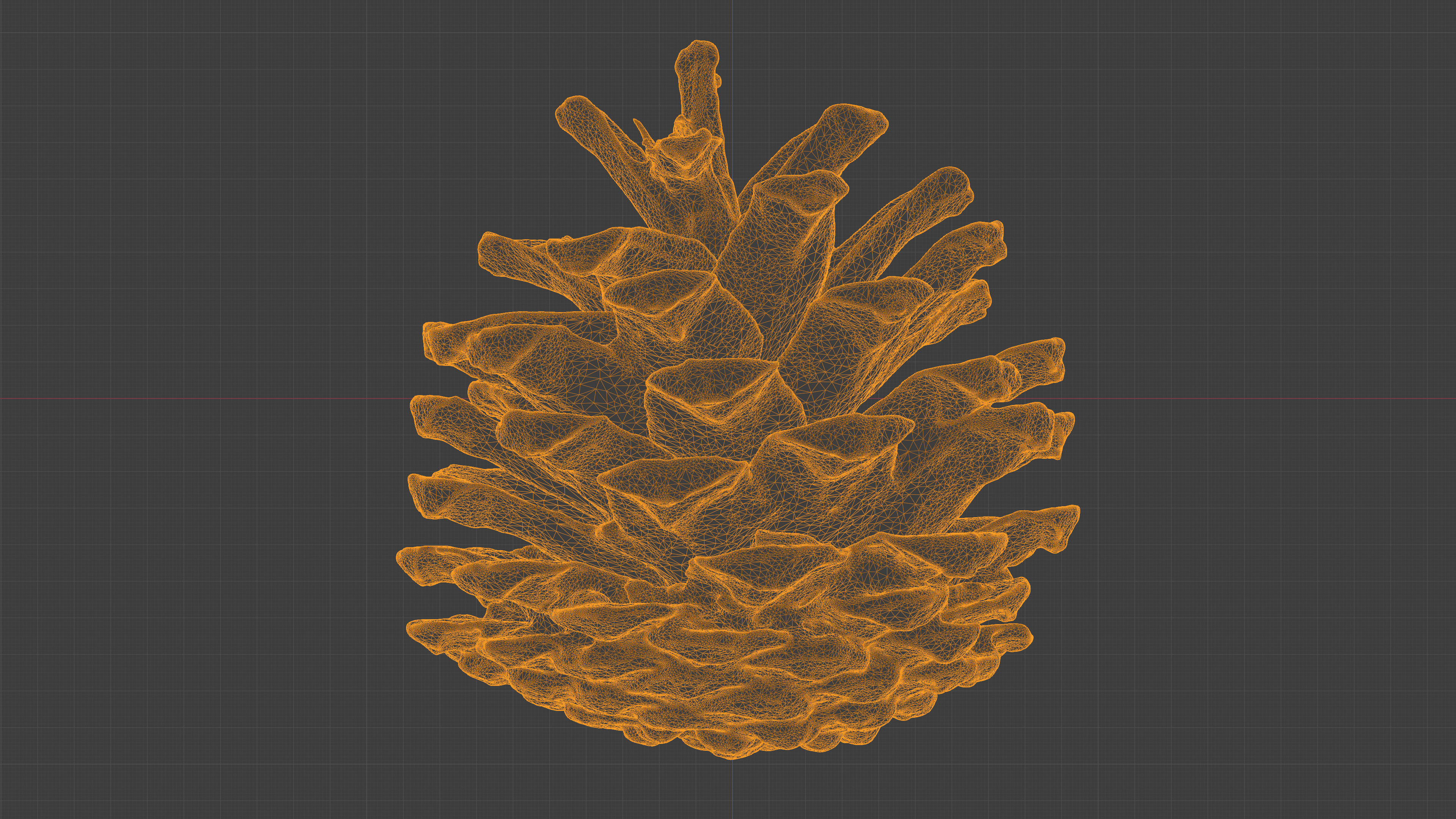 Photorealistic 3D scan of pine conifer cones Collection _13