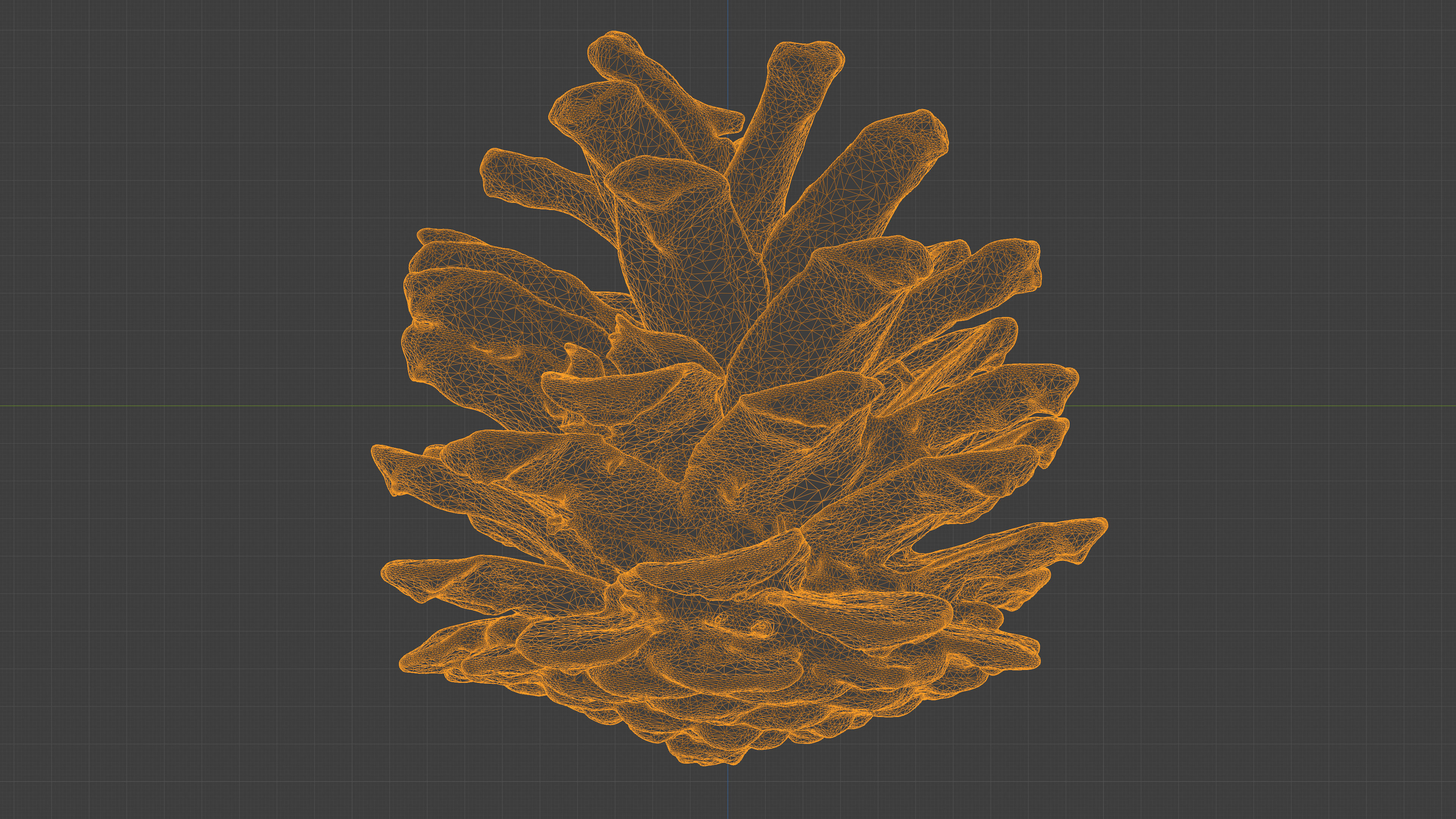 Photorealistic 3D scan of pine conifer cones Collection _10