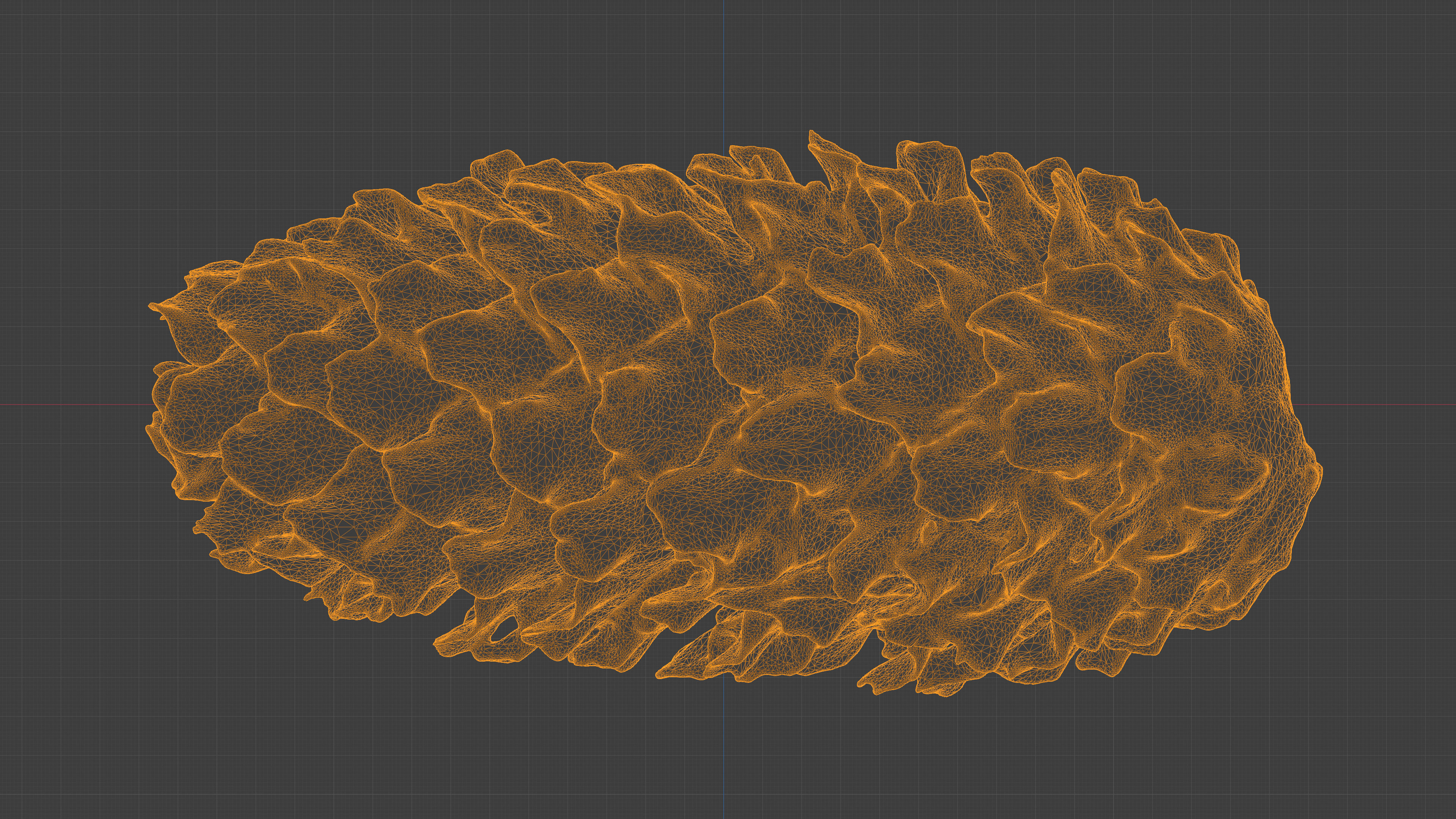 Photorealistic 3D scan of pine conifer cones Collection _7