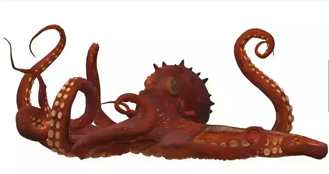 Realistic Octopus Rigged 3D Marine Creature Model