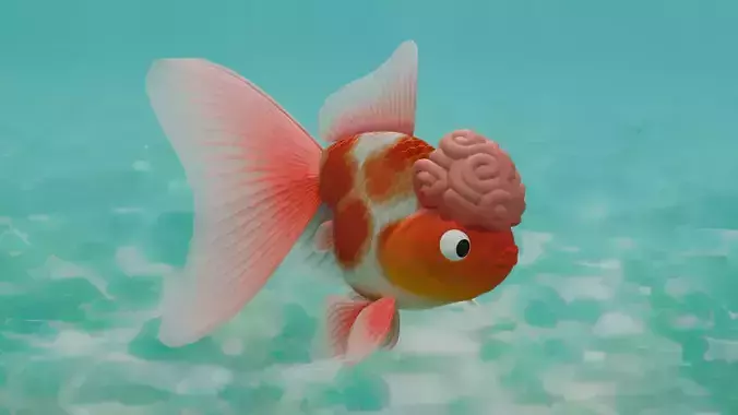 Lion head Goldfish Lowpoly 3D model Low-poly 3D model