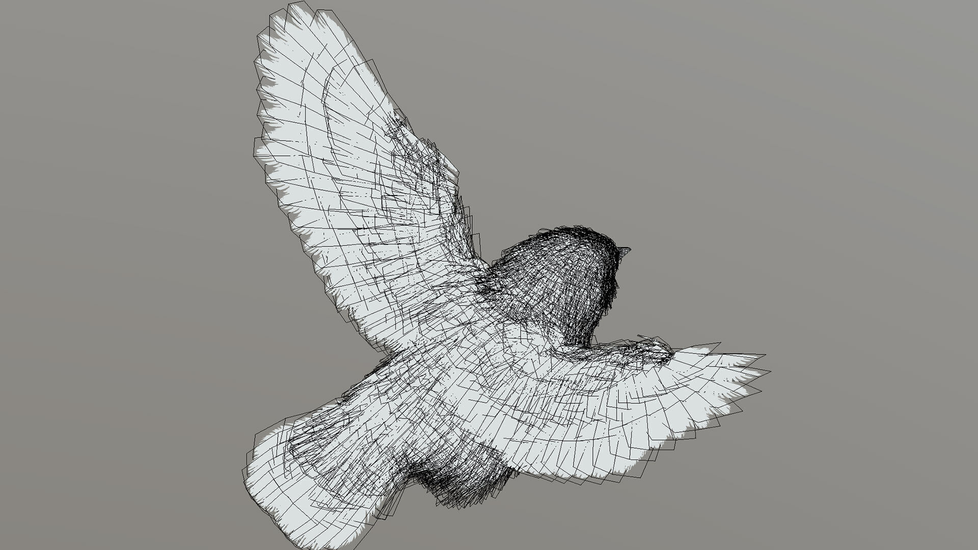 Eurasian Tree Sparrow 3D model_6