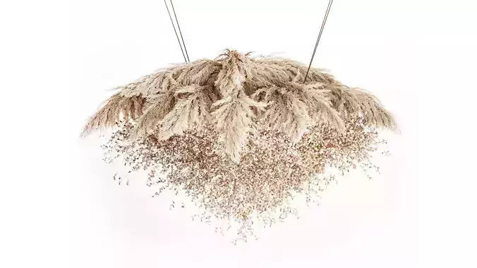 Hanging Installation Bouquet Dried Flowers Branch Lunaria pampas 3D model