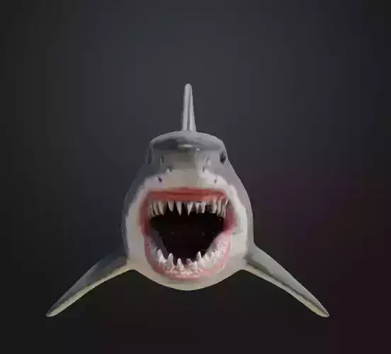 3d Shark Model
