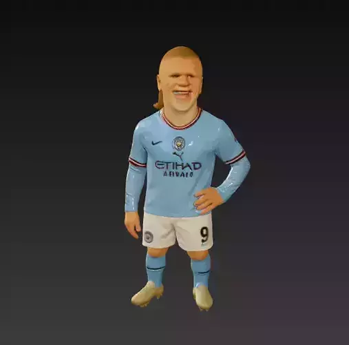 Erling Haaland Mini Fut Series 2 3D print model